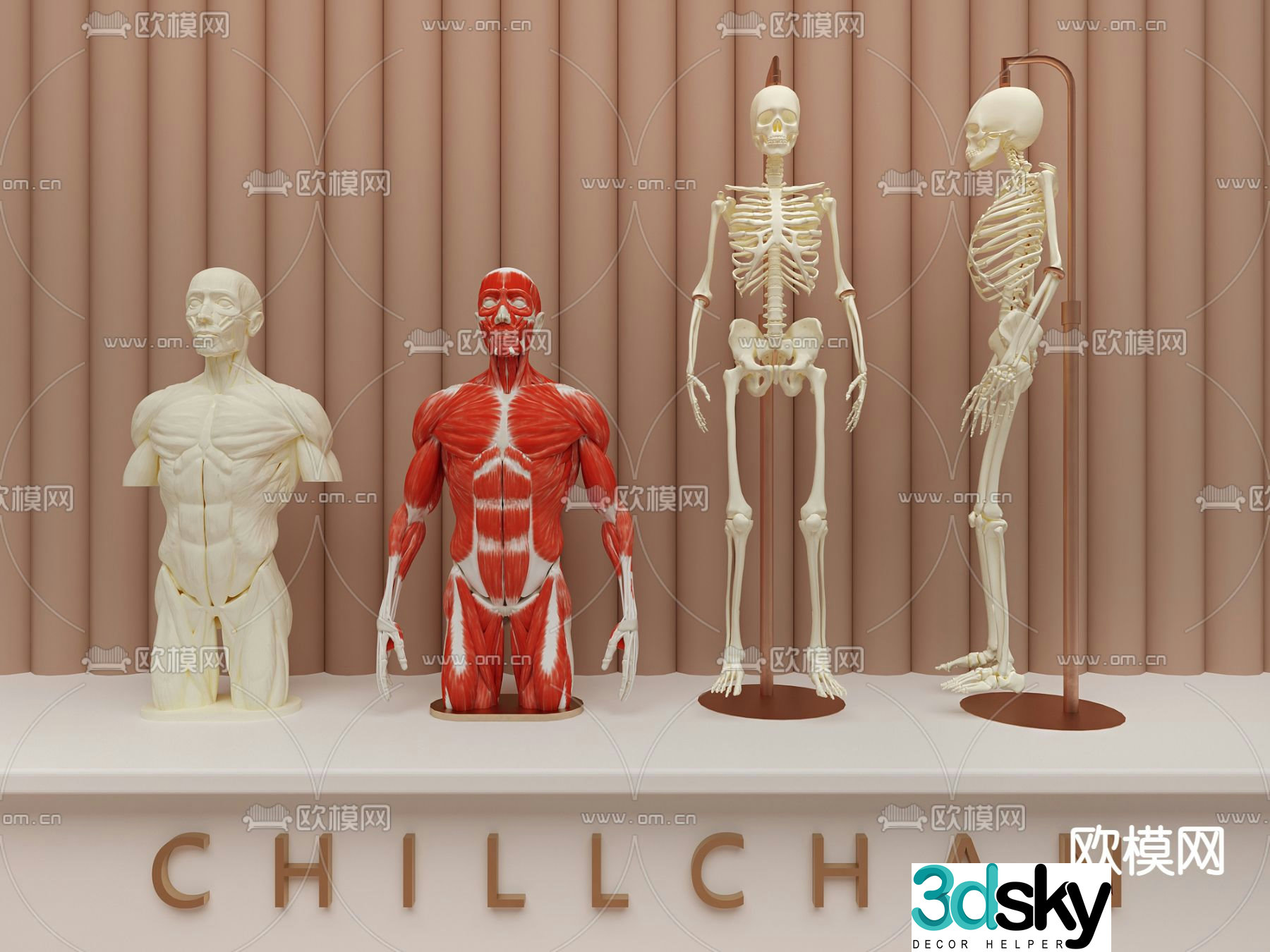 Modern medical mannequin 3d model
