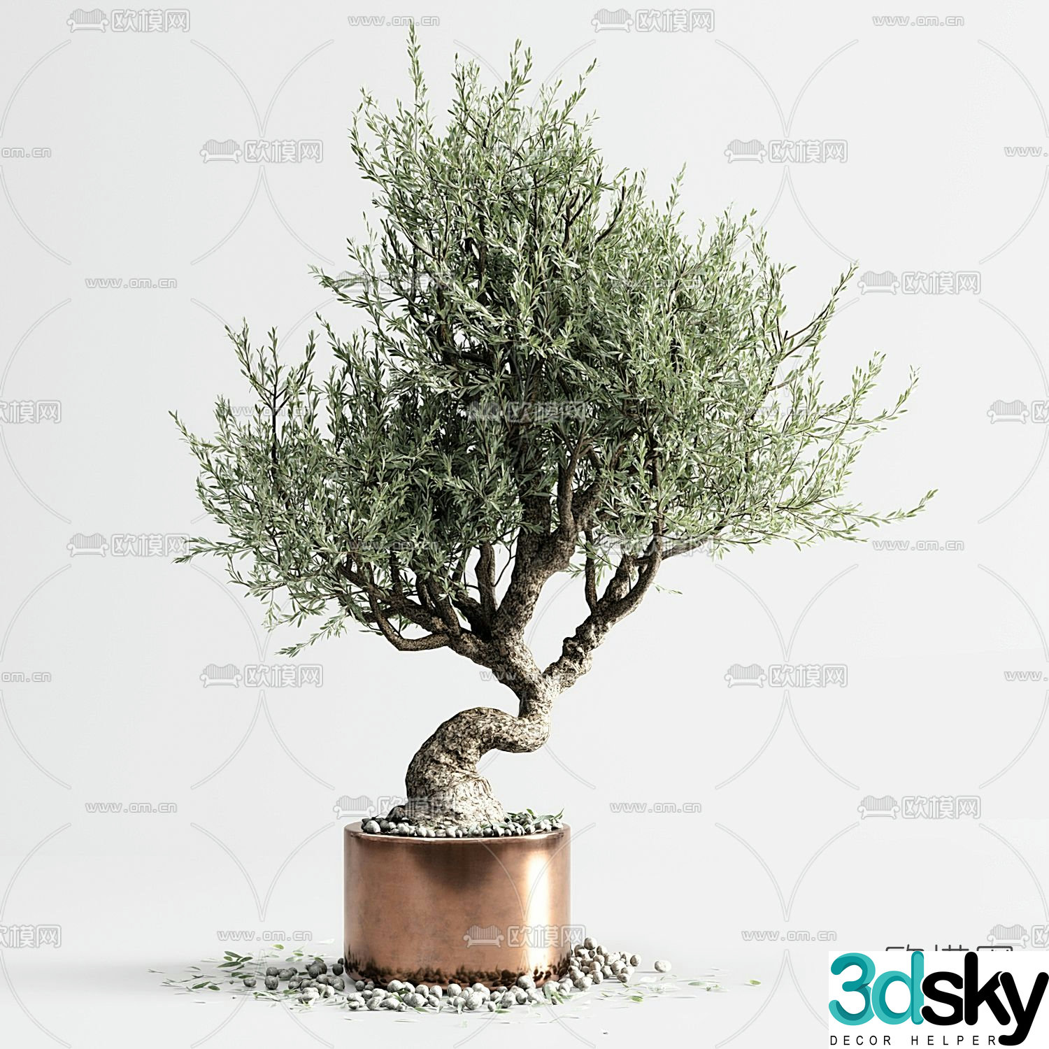 FLOS welcoming pine potted plant 3D model