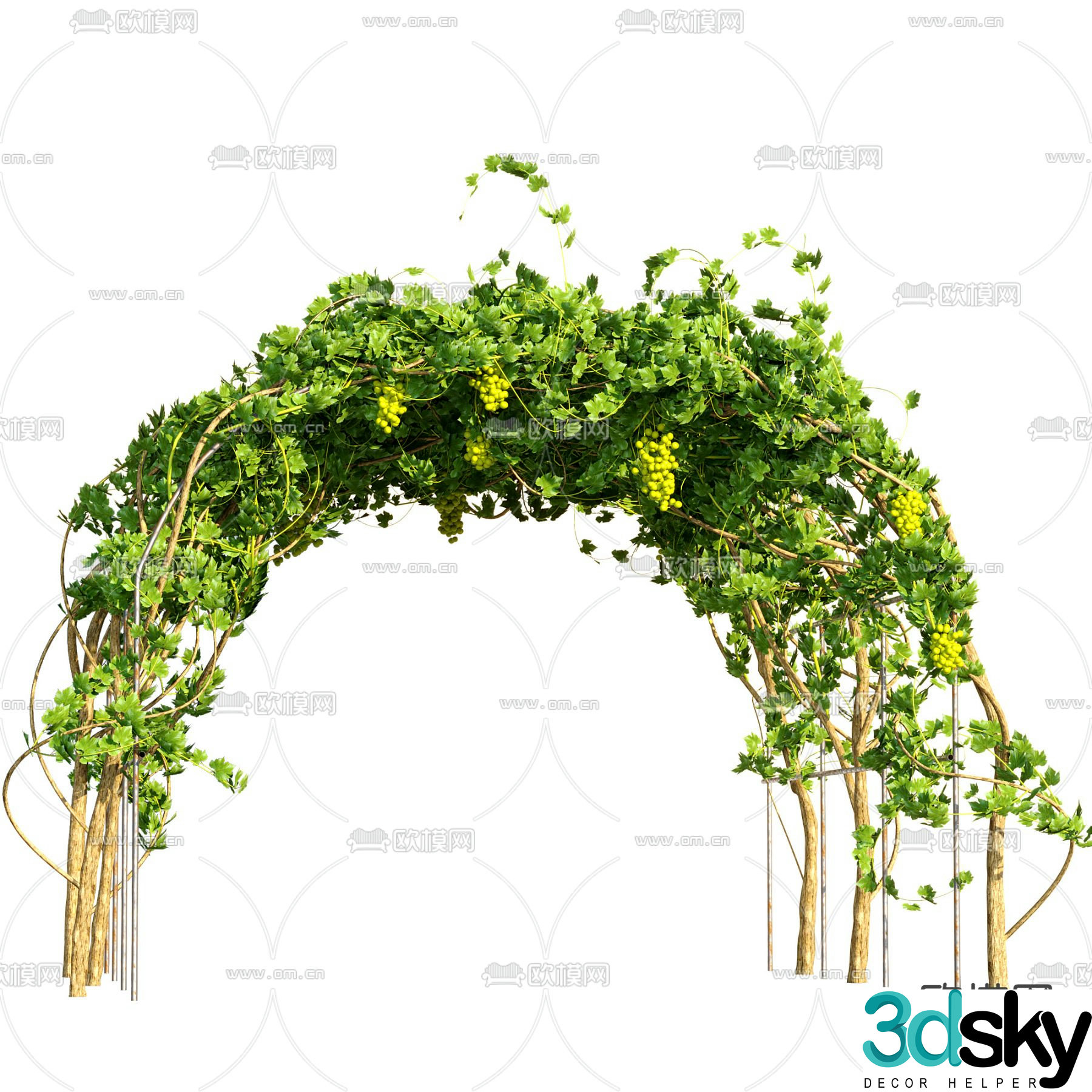 Grapevine Man Gallery 3D model