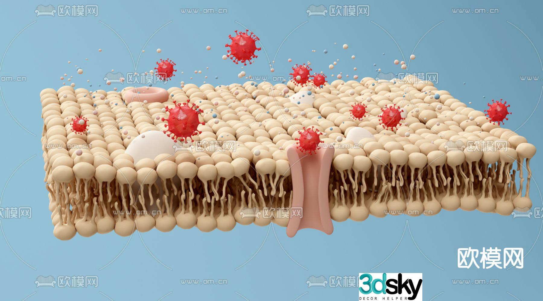 fat protein bacteria scene 3d model