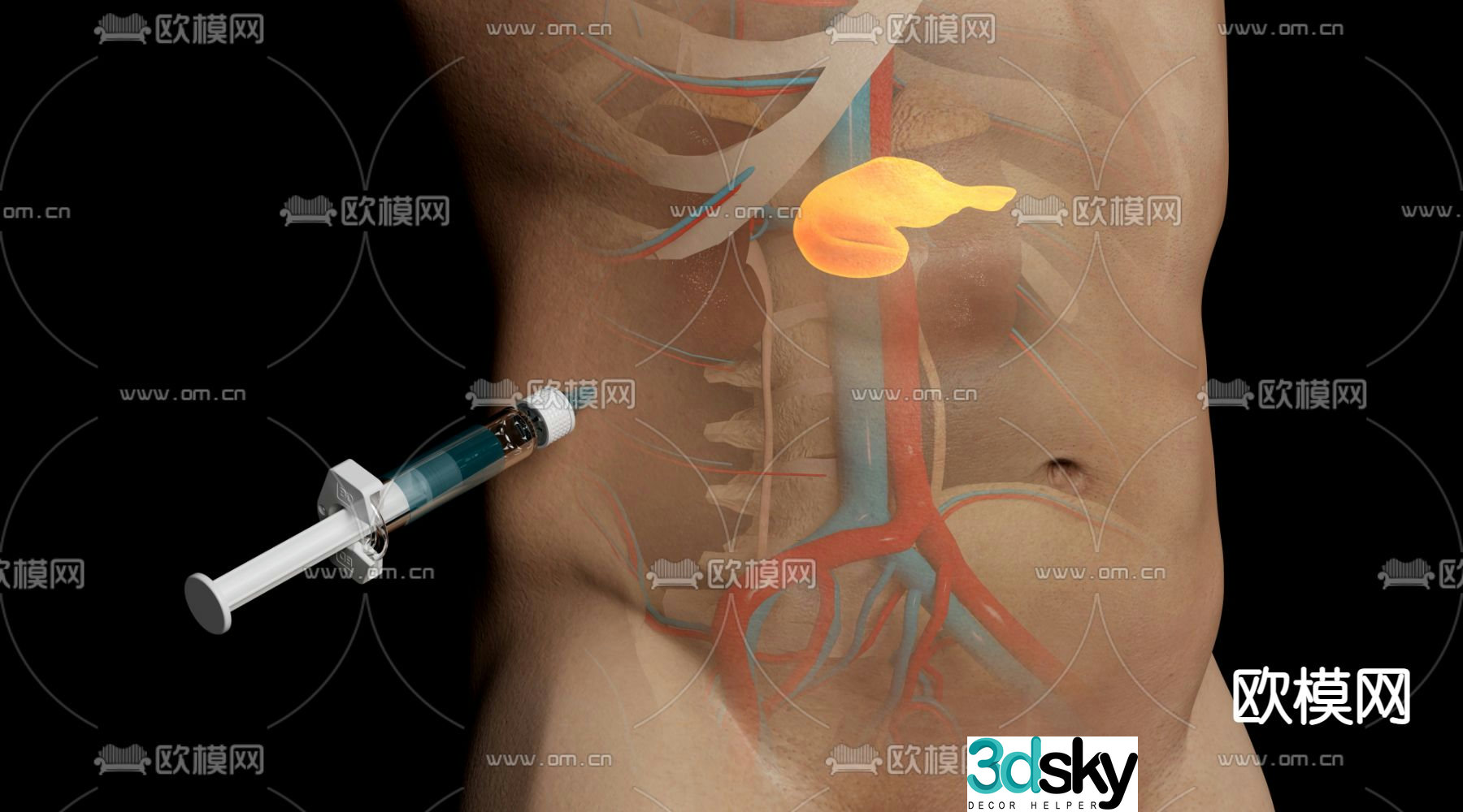 Human body insulin injection scene 3d model