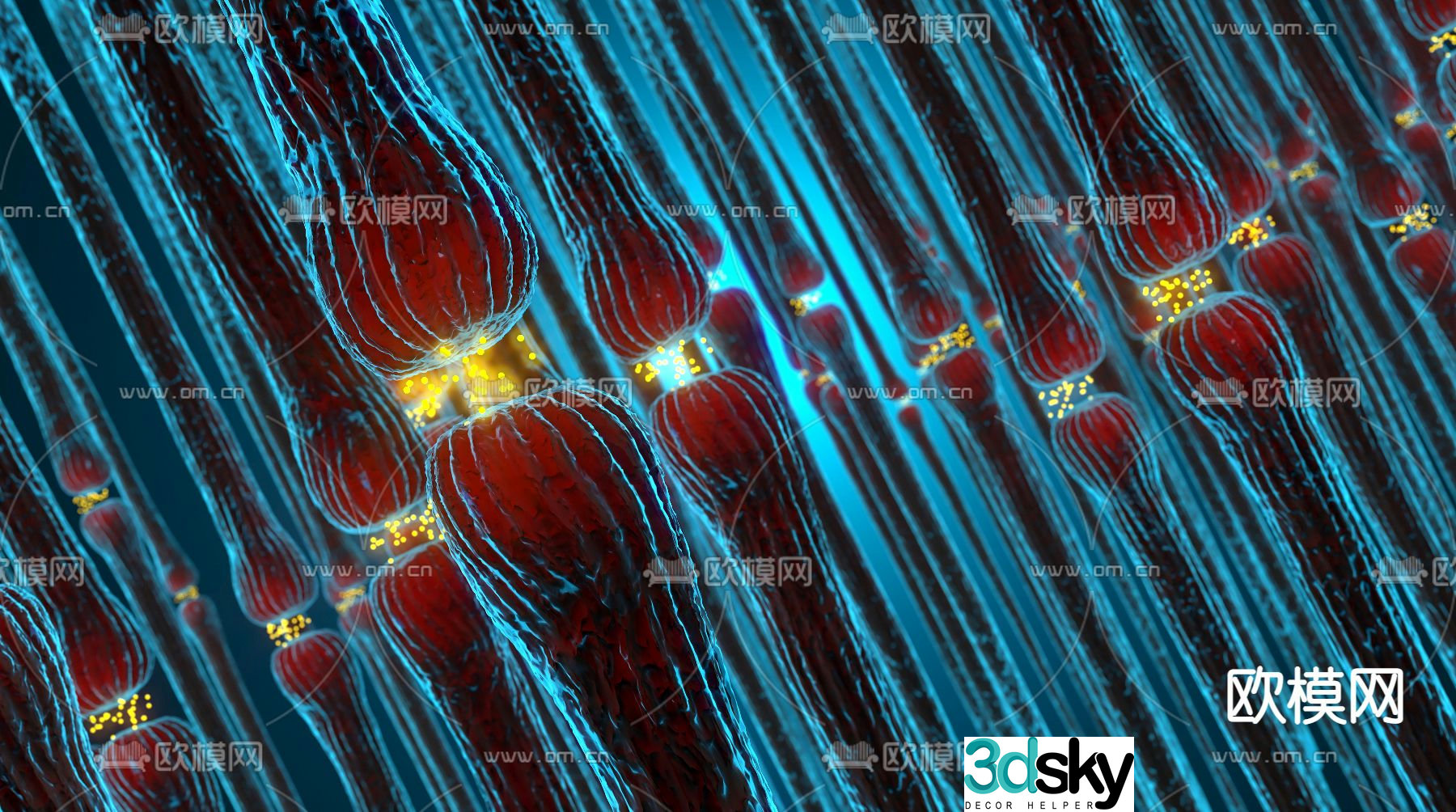 neuron cell 3d model