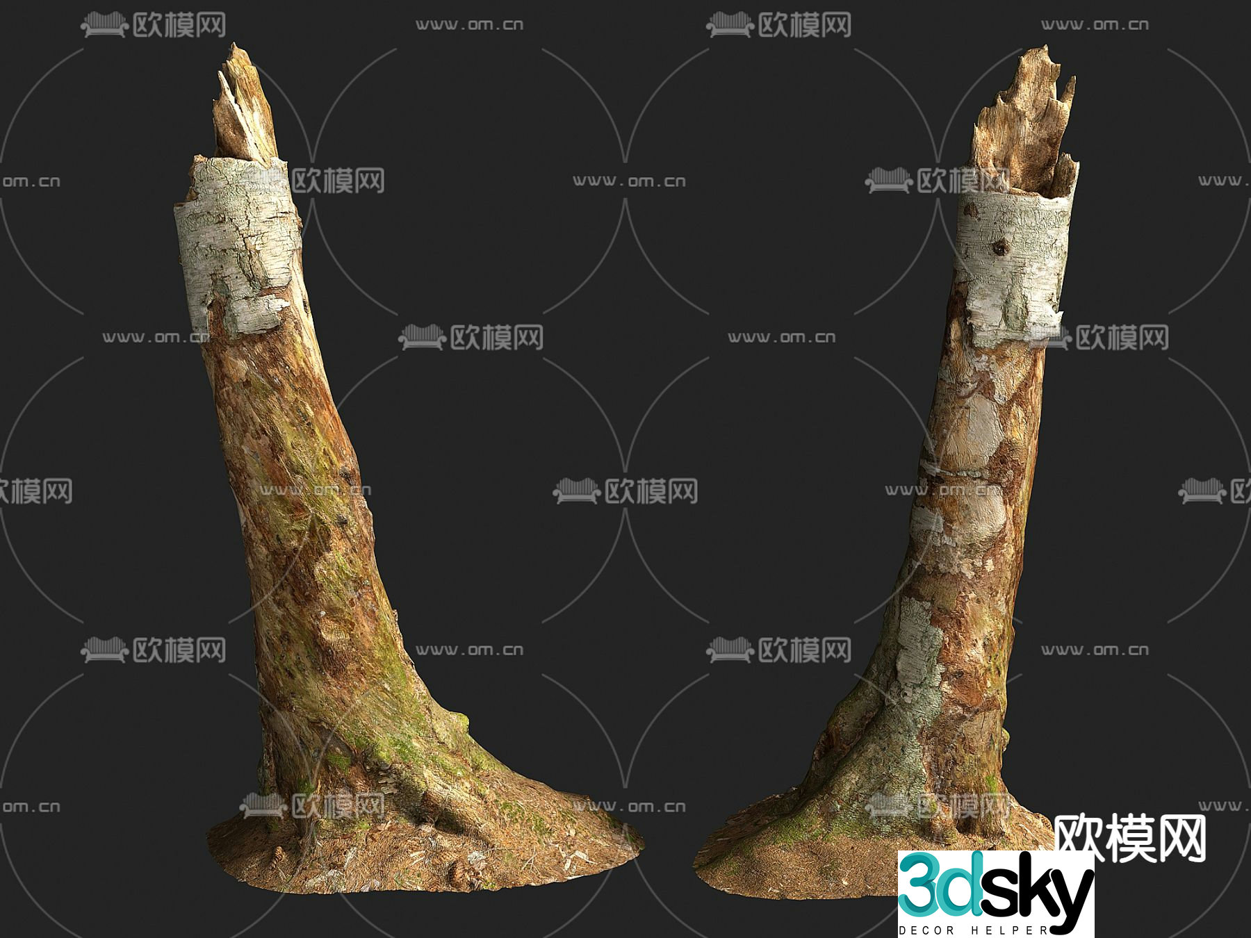 Wood Stump Firewood Decayed Wood 3d Model