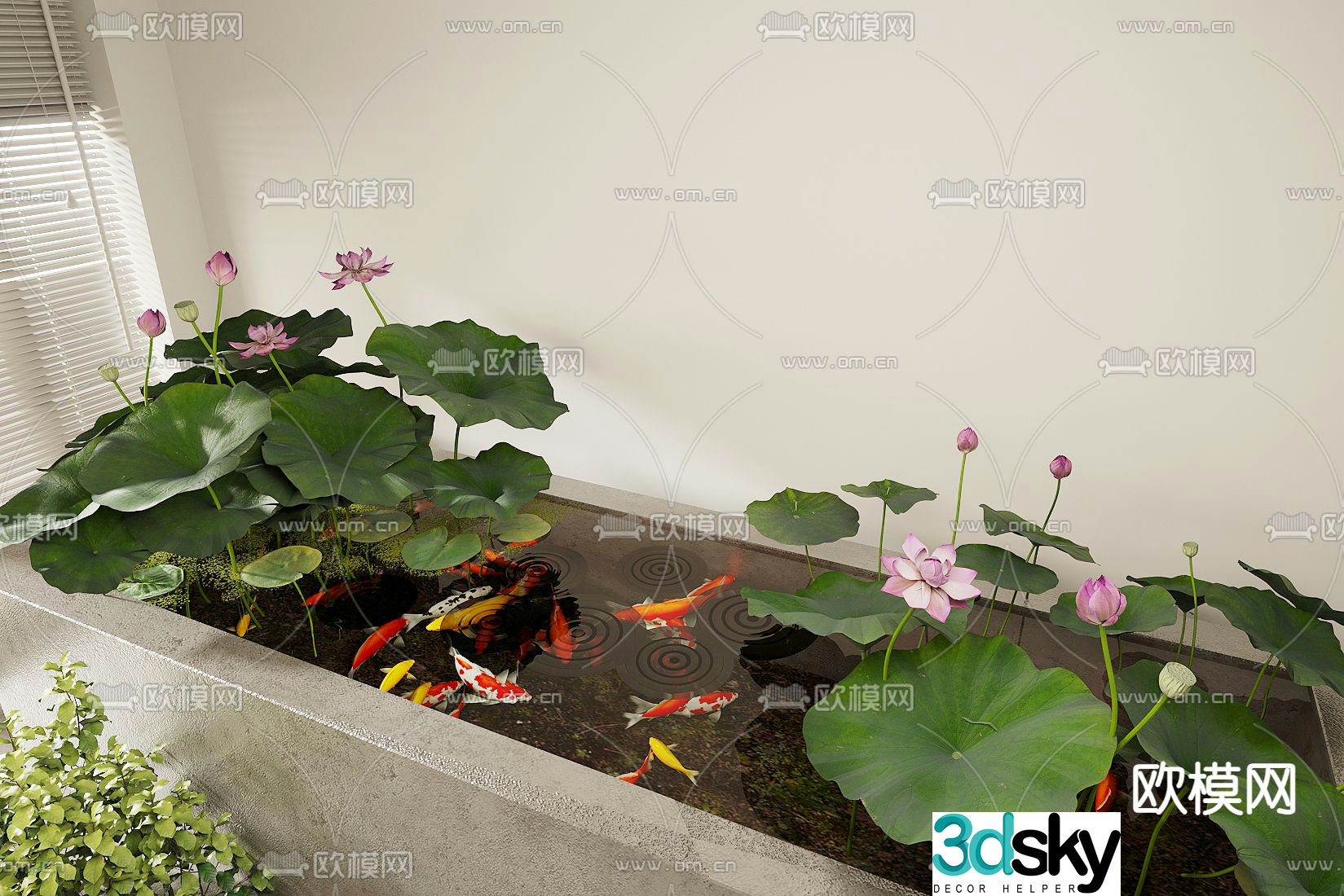 Waterscape sketch lotus pond koi pond 3D model