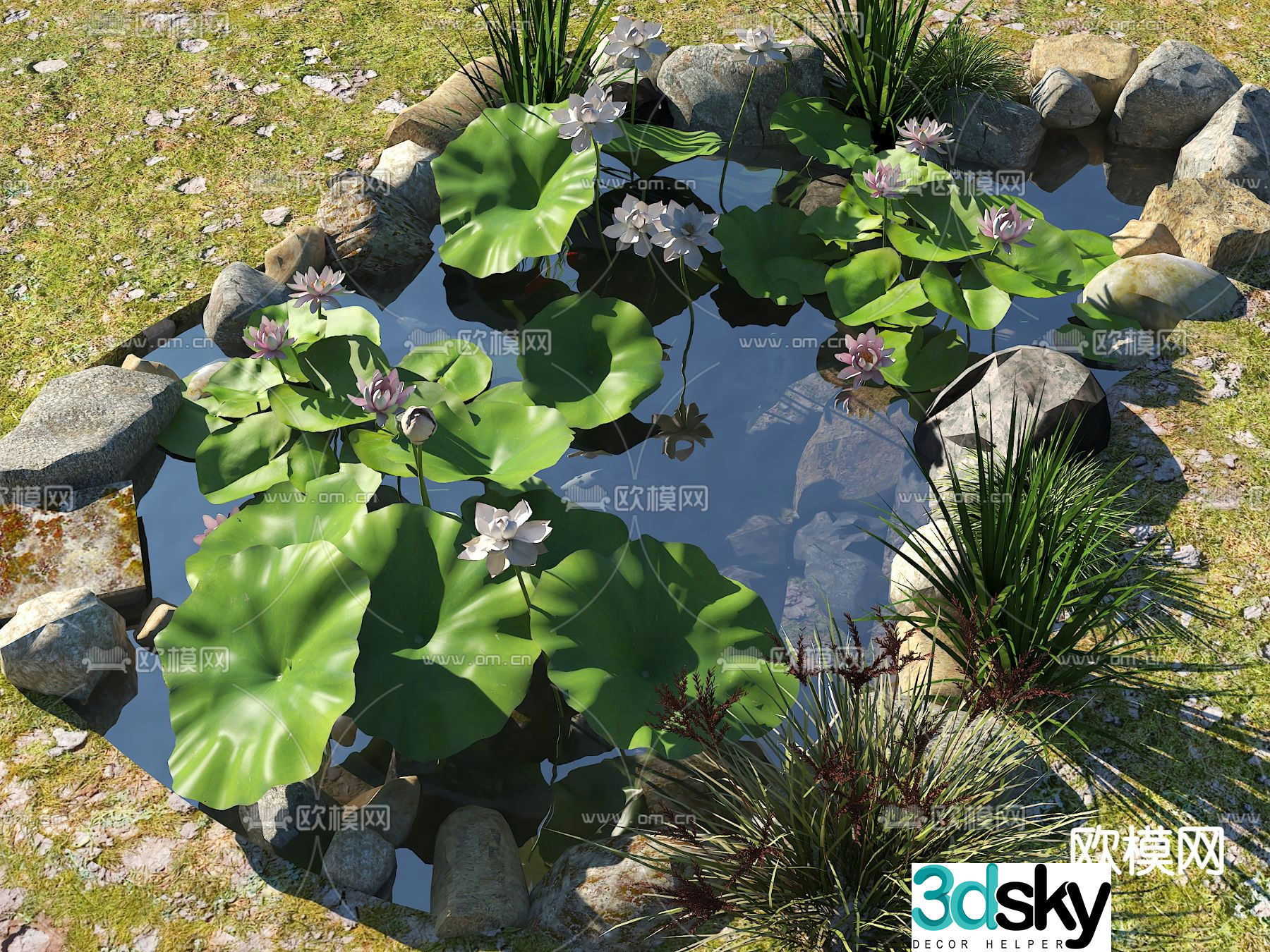 Ecological fish pond pond fish pond 3d model