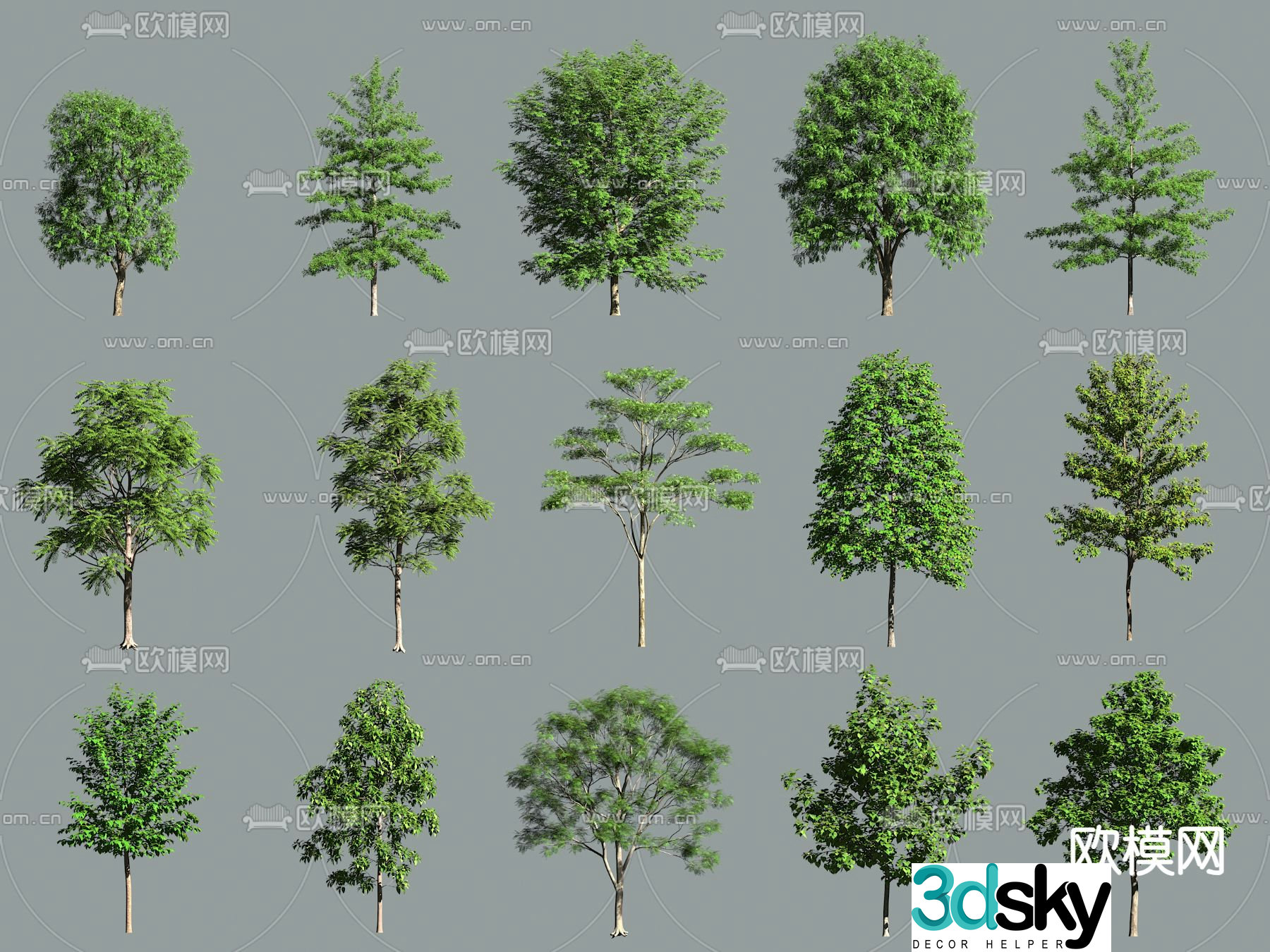 Small tree Landscape tree Street tree 3d model