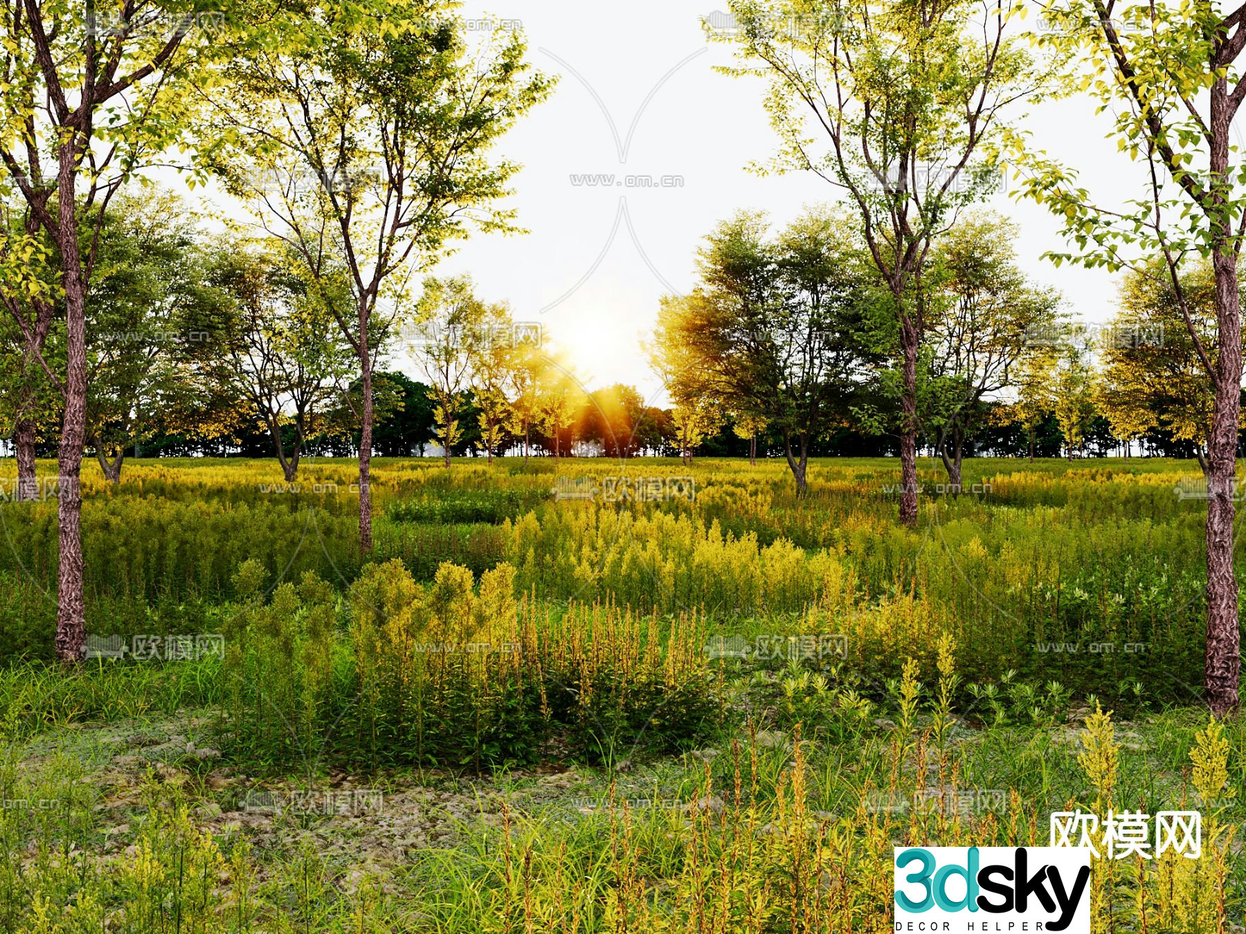 Garden landscape flowers shrubs landscape trees 3d model