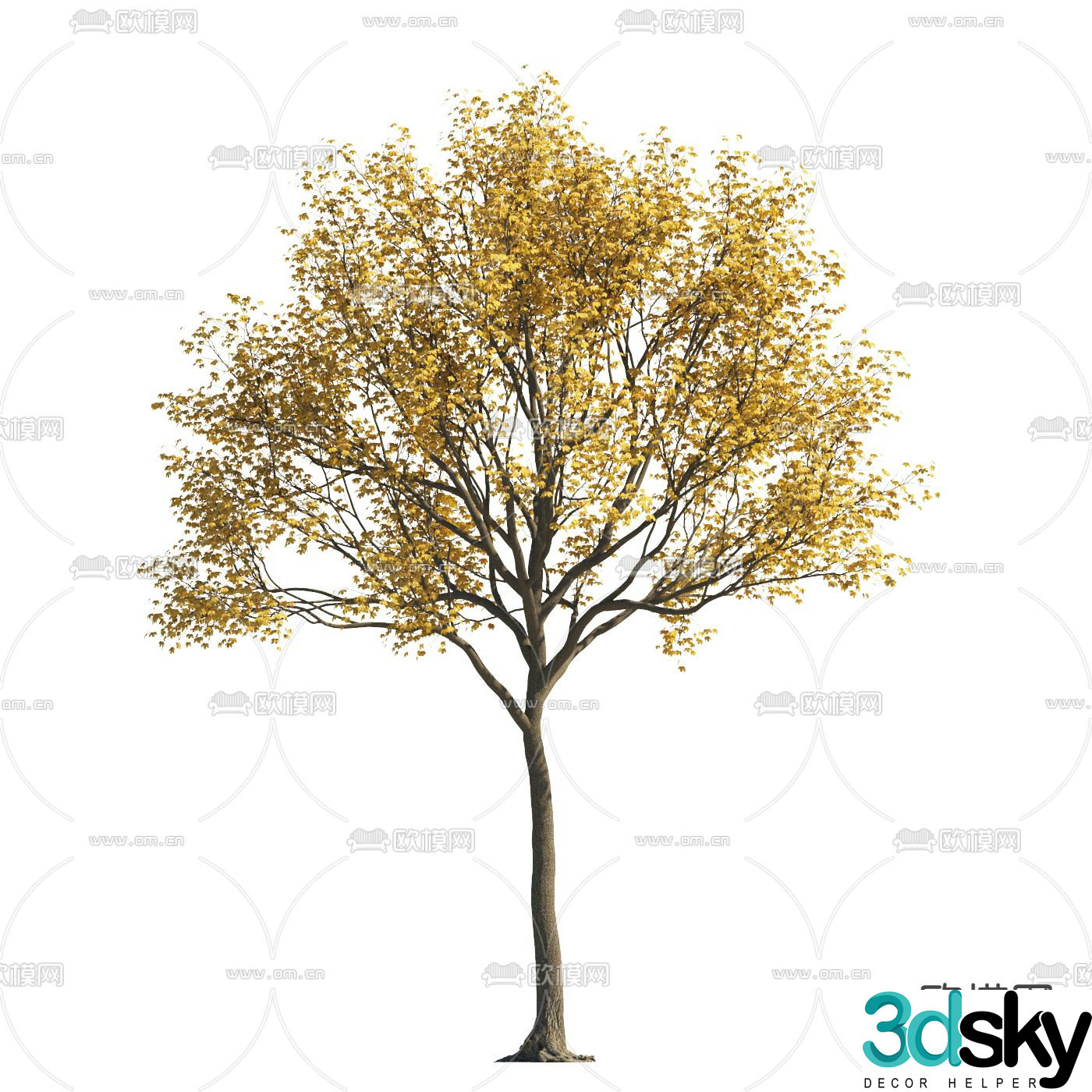 Yellow leaf tree Autumn tree Landscape tree Street tree 3d model
