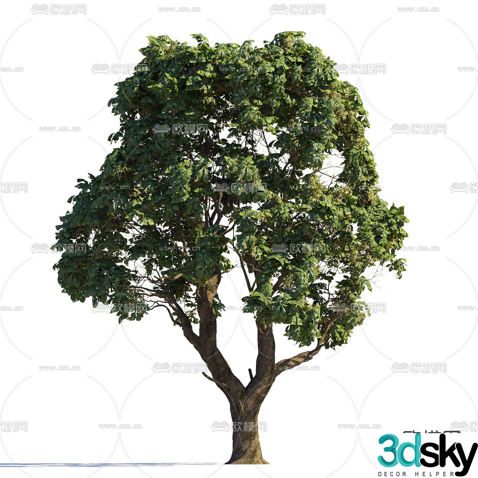 Big tree Garden tree Landscape tree Street tree 3d model