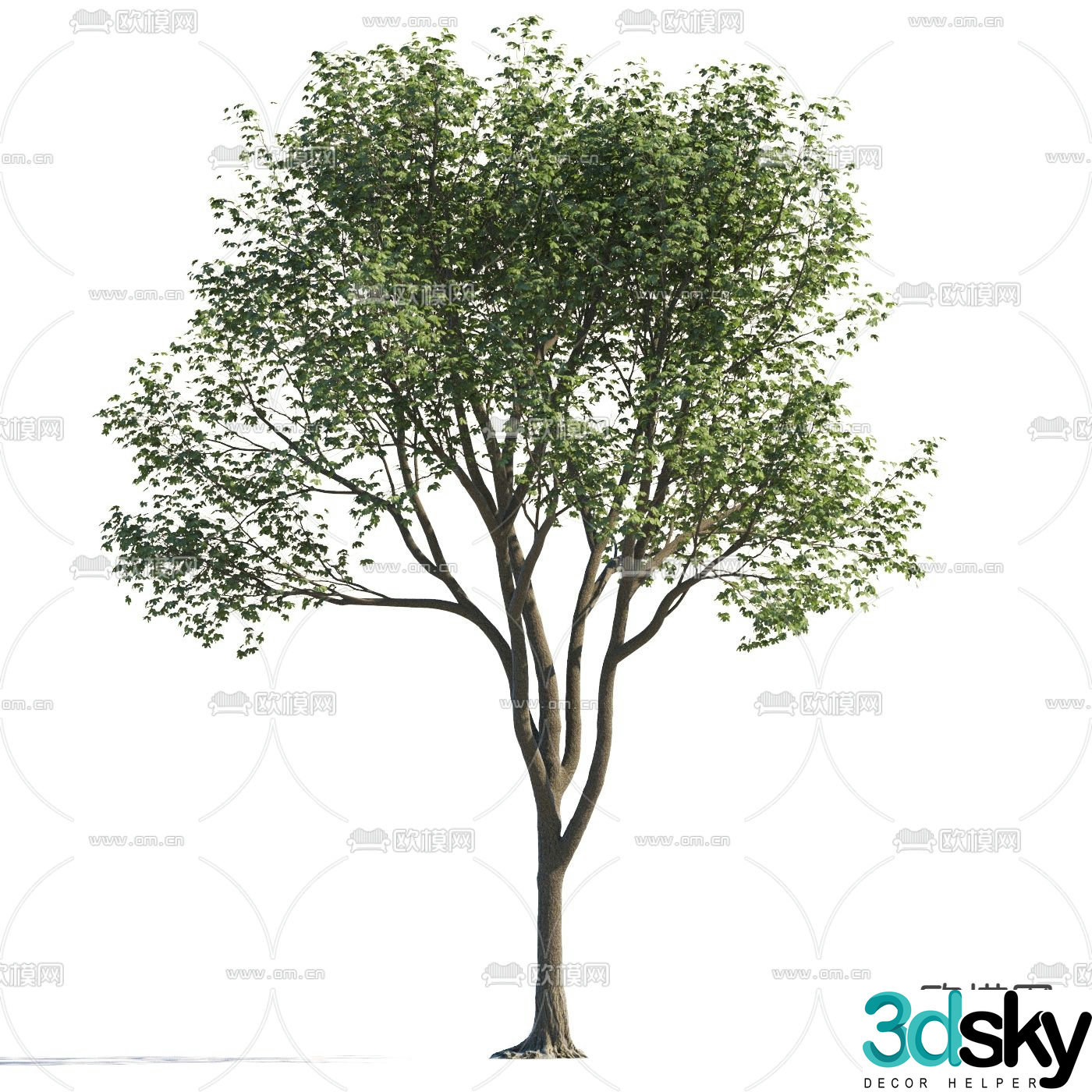 Landscape tree Garden tree Walking tree 3d model