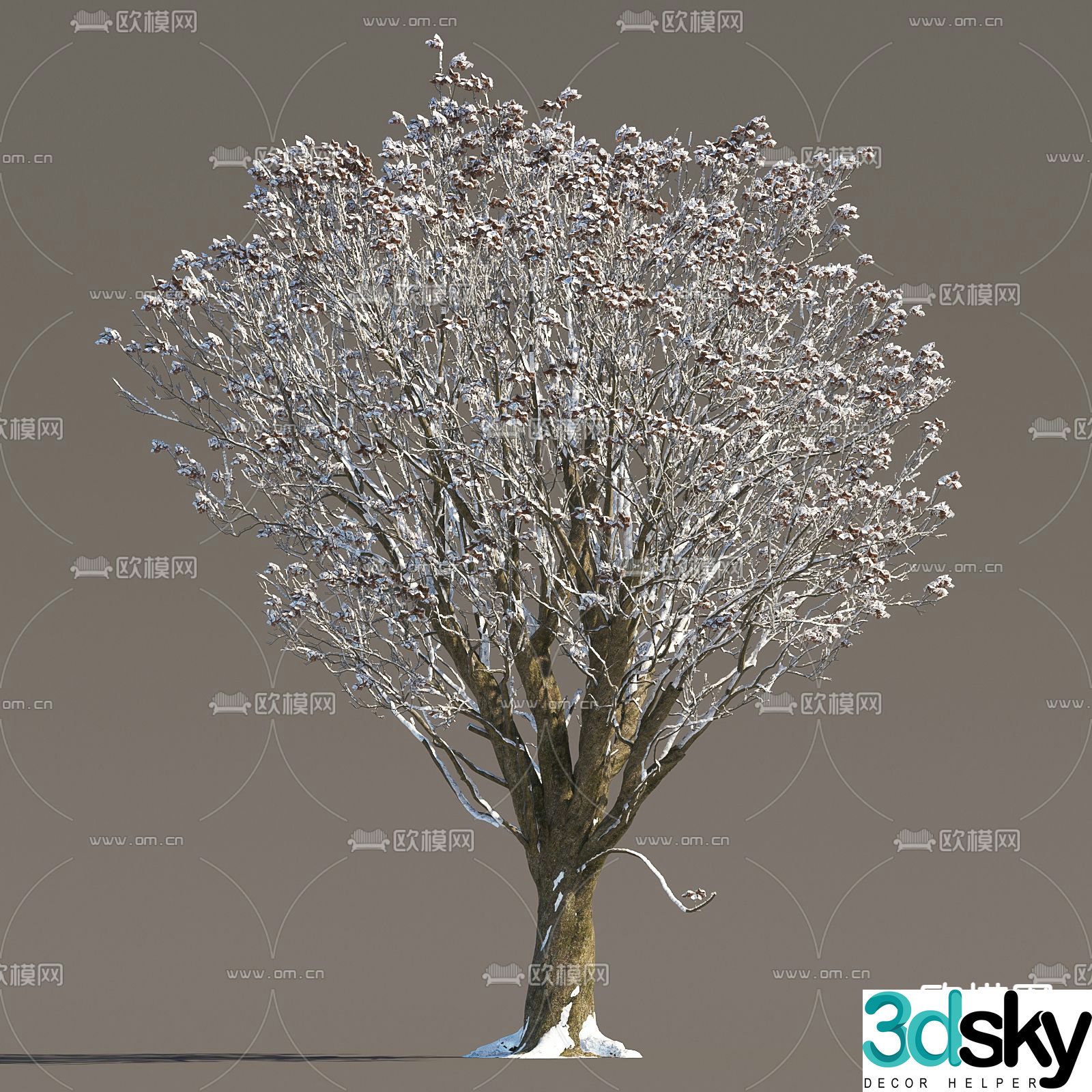 Snow Tree Ice Tree Snow Tree 3D Model