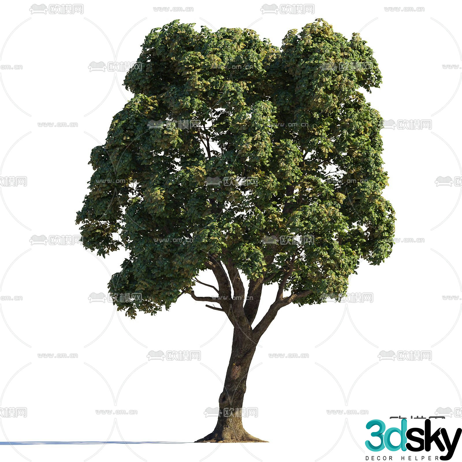 Big tree Garden tree Landscape tree Street tree 3d model
