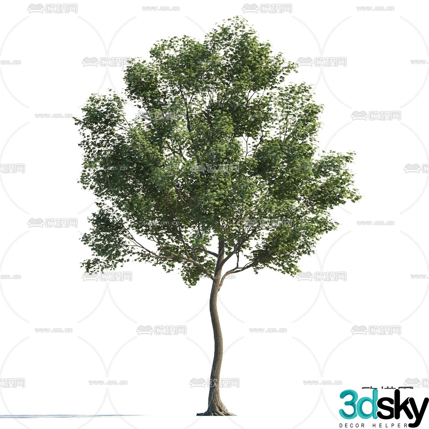 Landscape tree Garden tree Walking tree 3d model