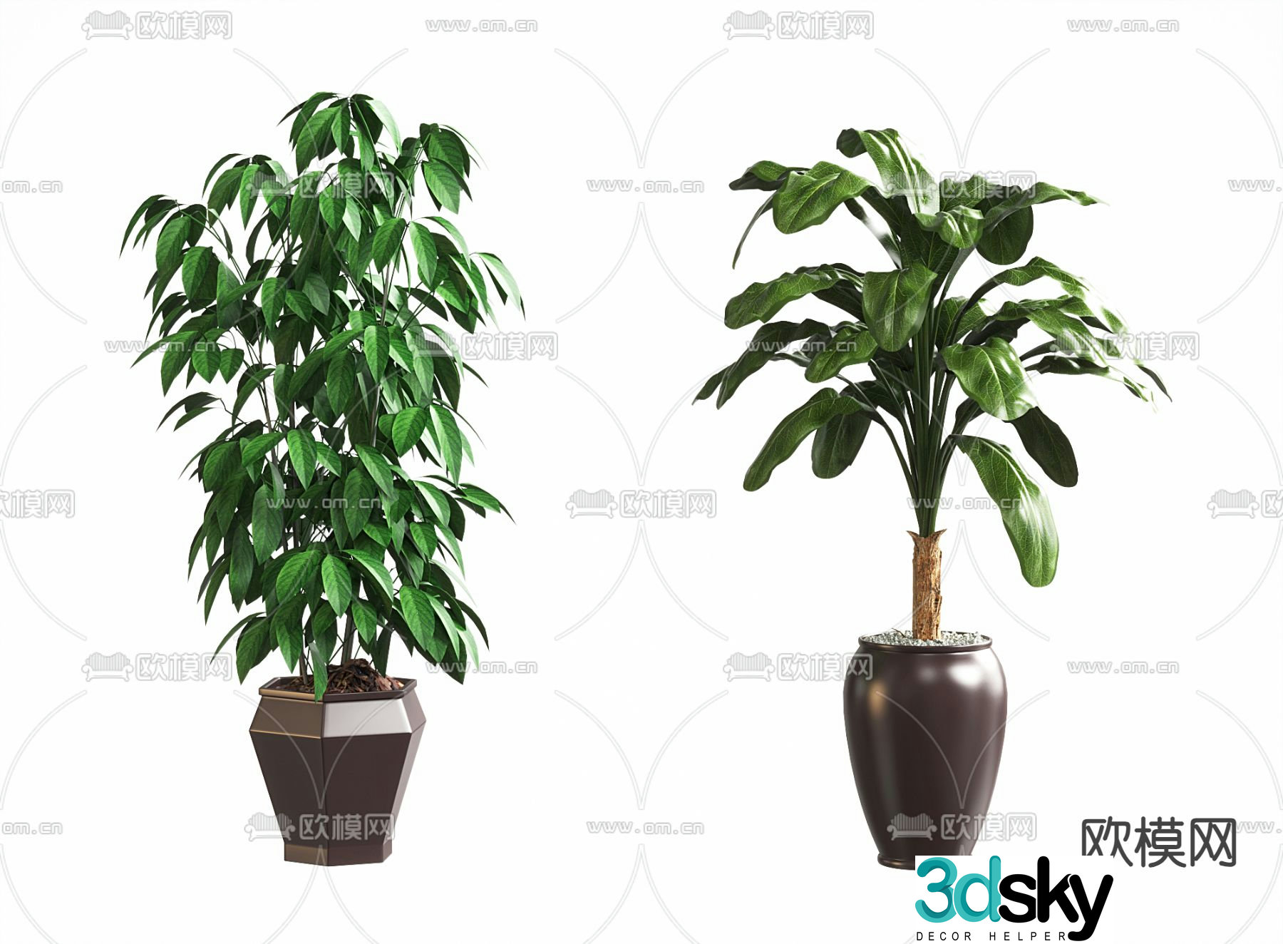 Potted plants Bonsai Green plants 3D model