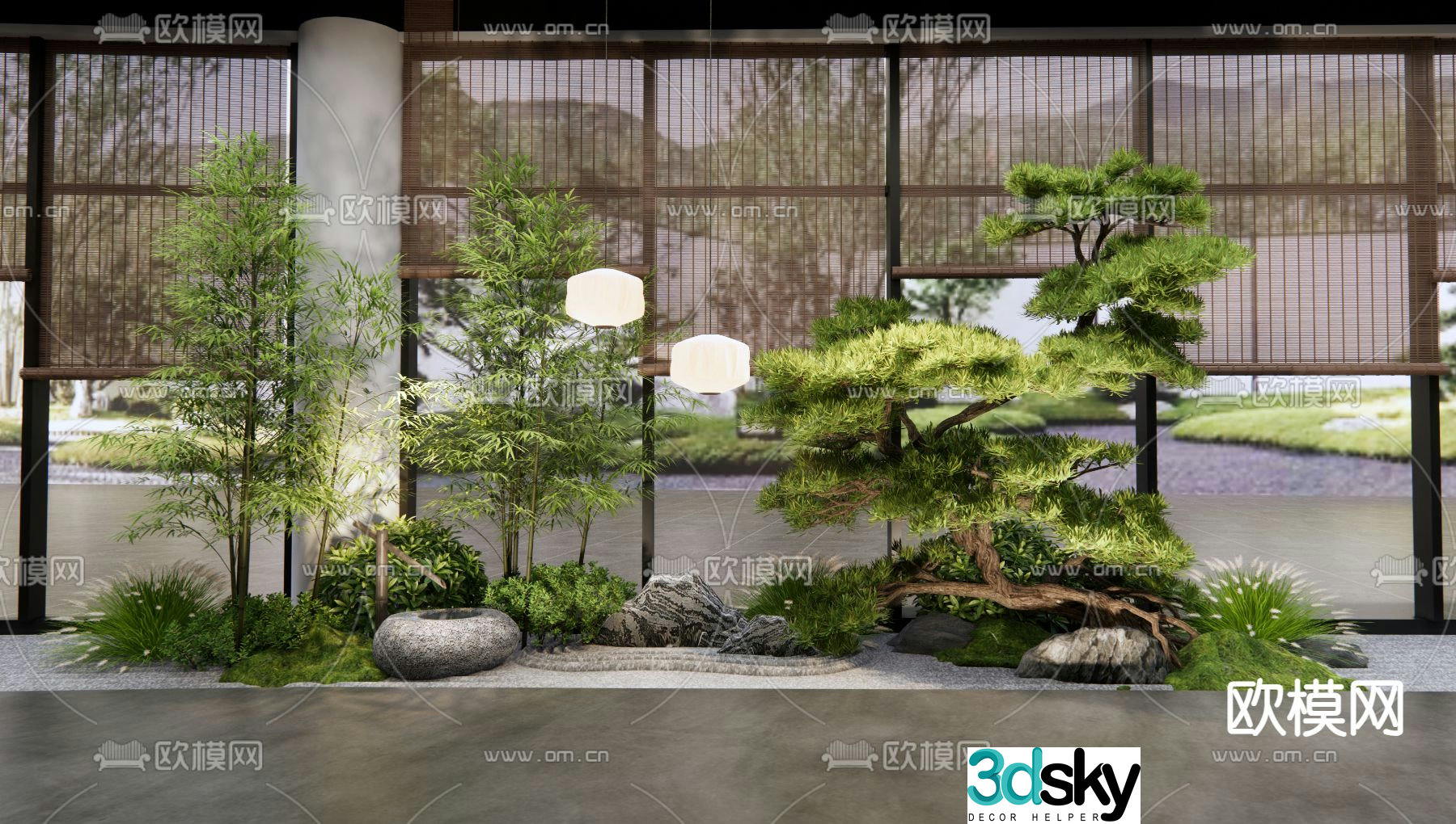 Indoor landscape plant landscaping Podocarpus 3D model