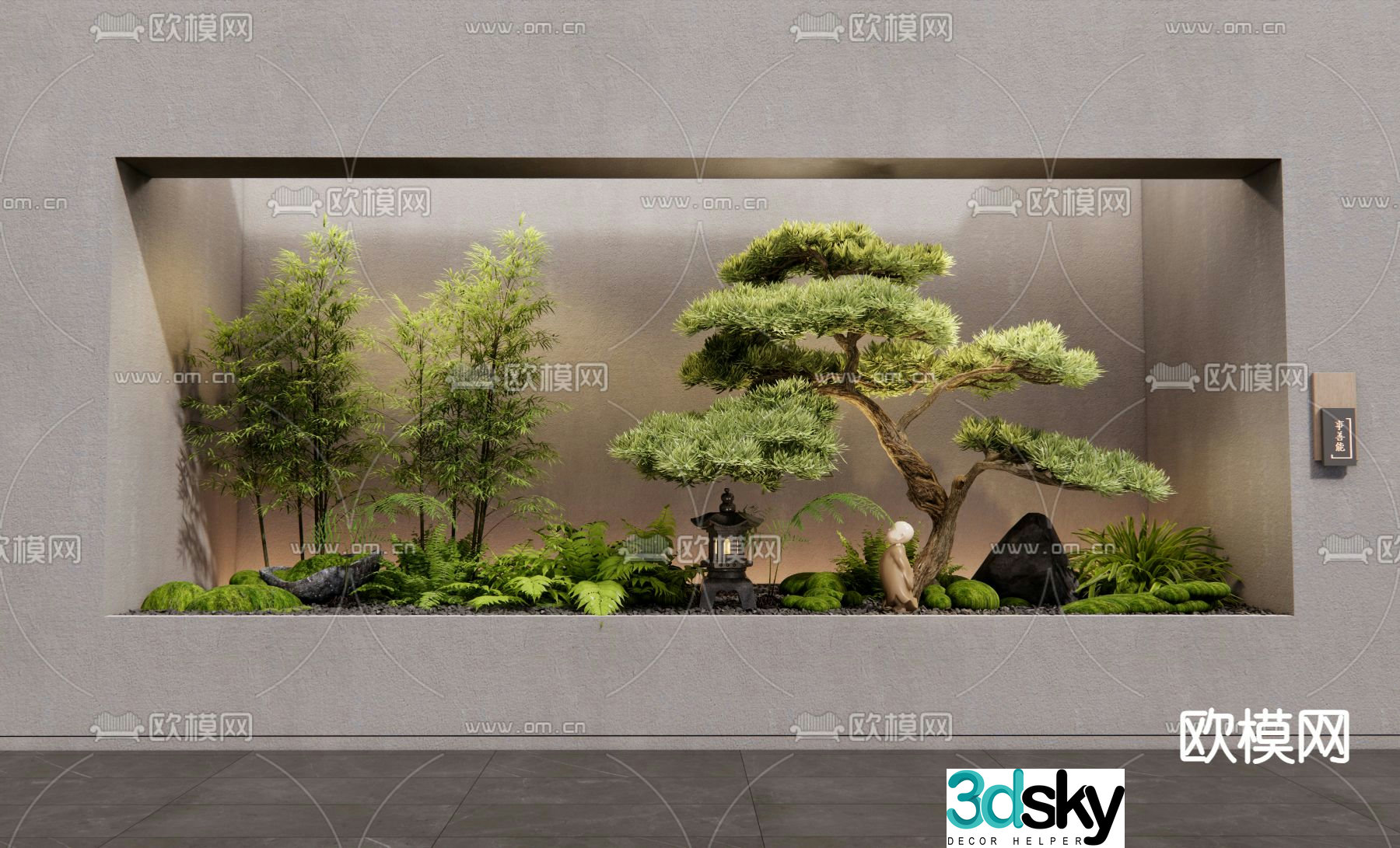 Indoor landscape plant landscaping Podocarpus 3D model