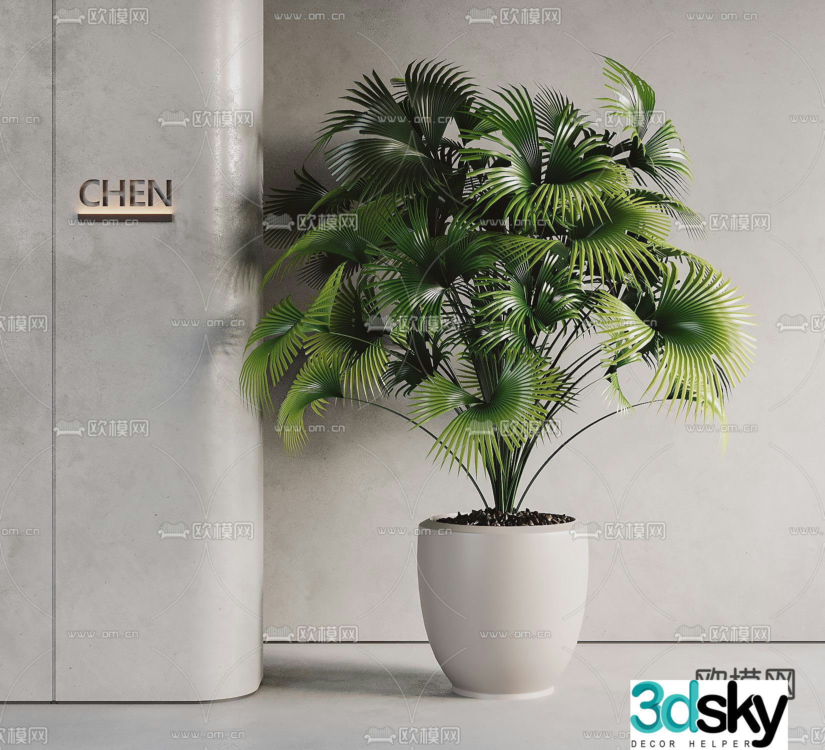 potted plant bonsai palmetto 3d model