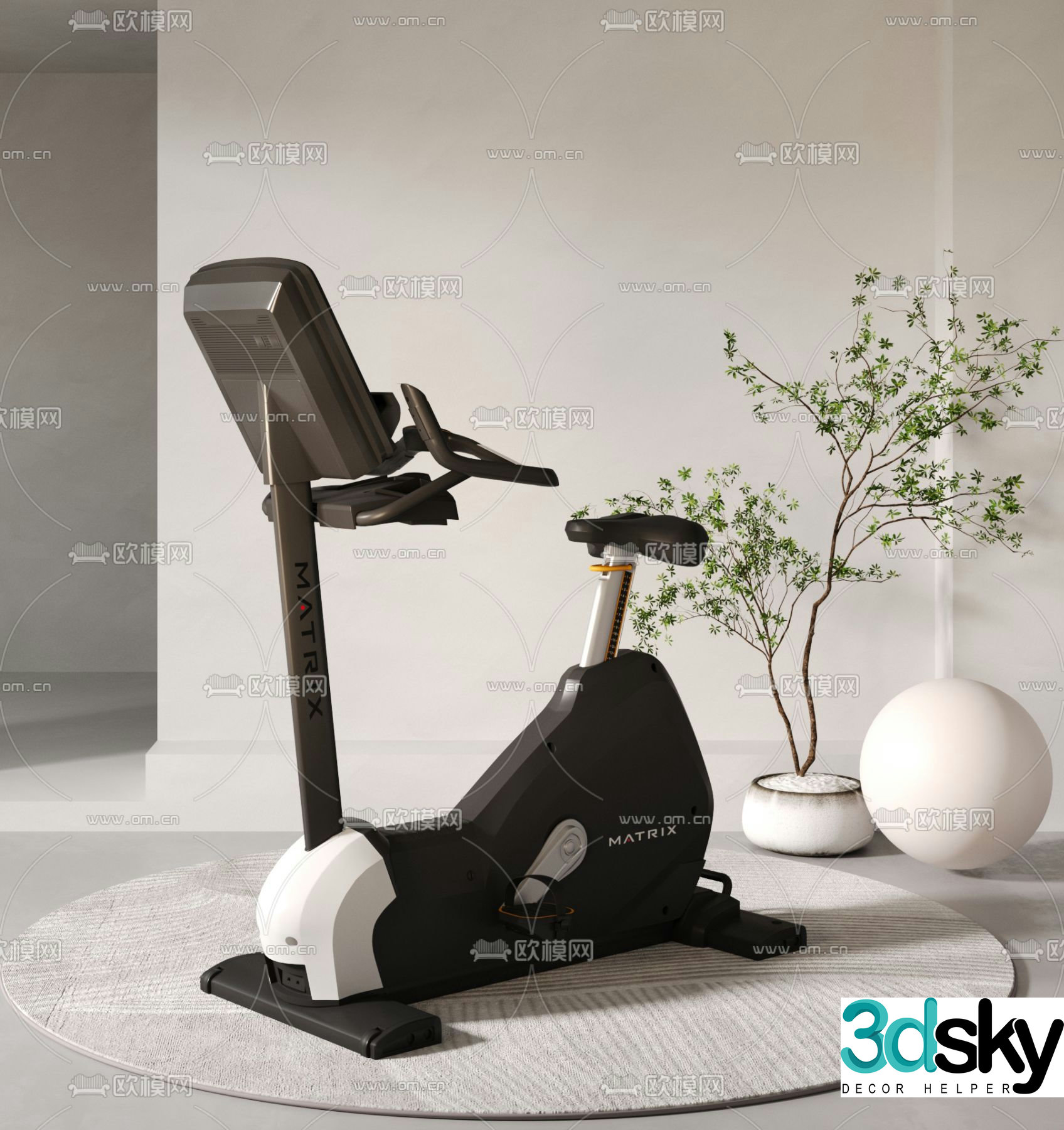 Fitness equipment spinning 3d model