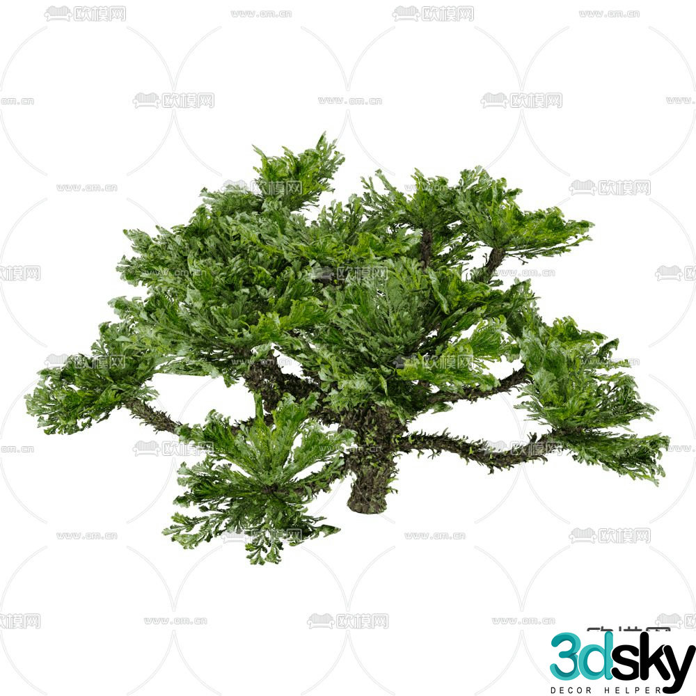 Modeling shrubs pruning shrubs landscape tree 3d model
