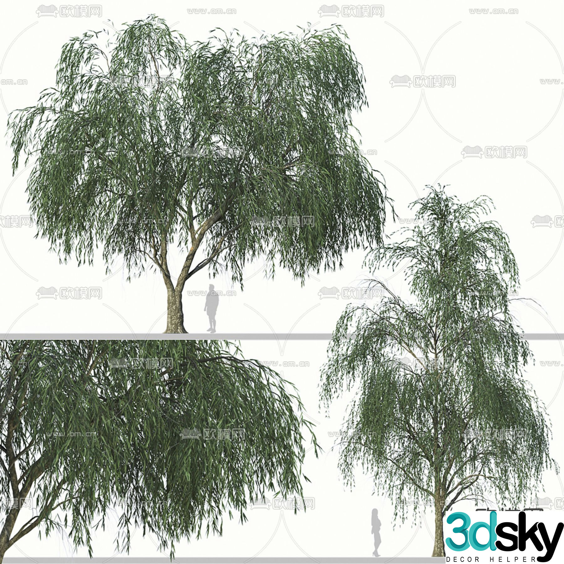 weeping willow willow big tree landscape tree 3d model