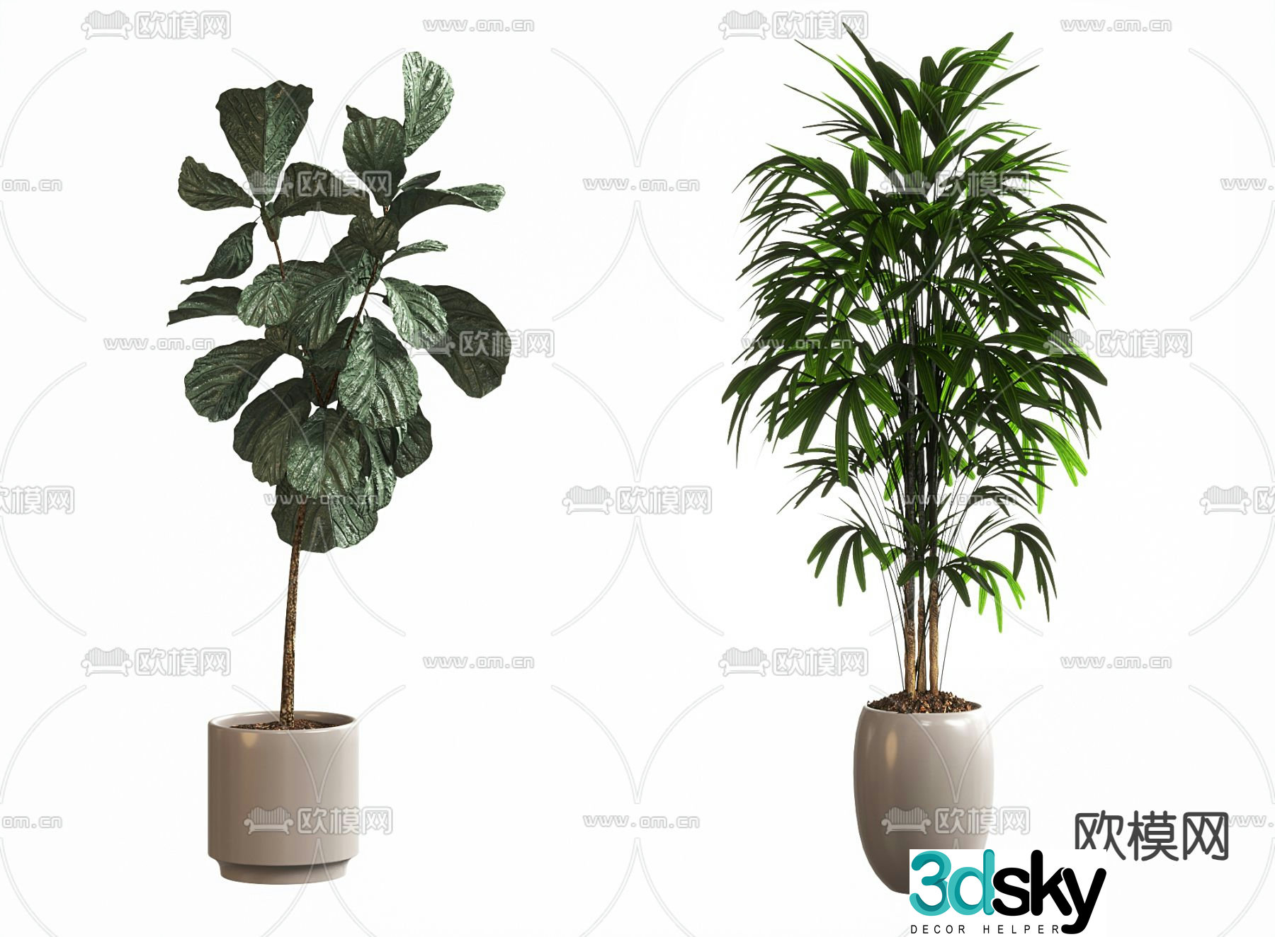 Bonsai Pot Plant Green Plant 3D Model