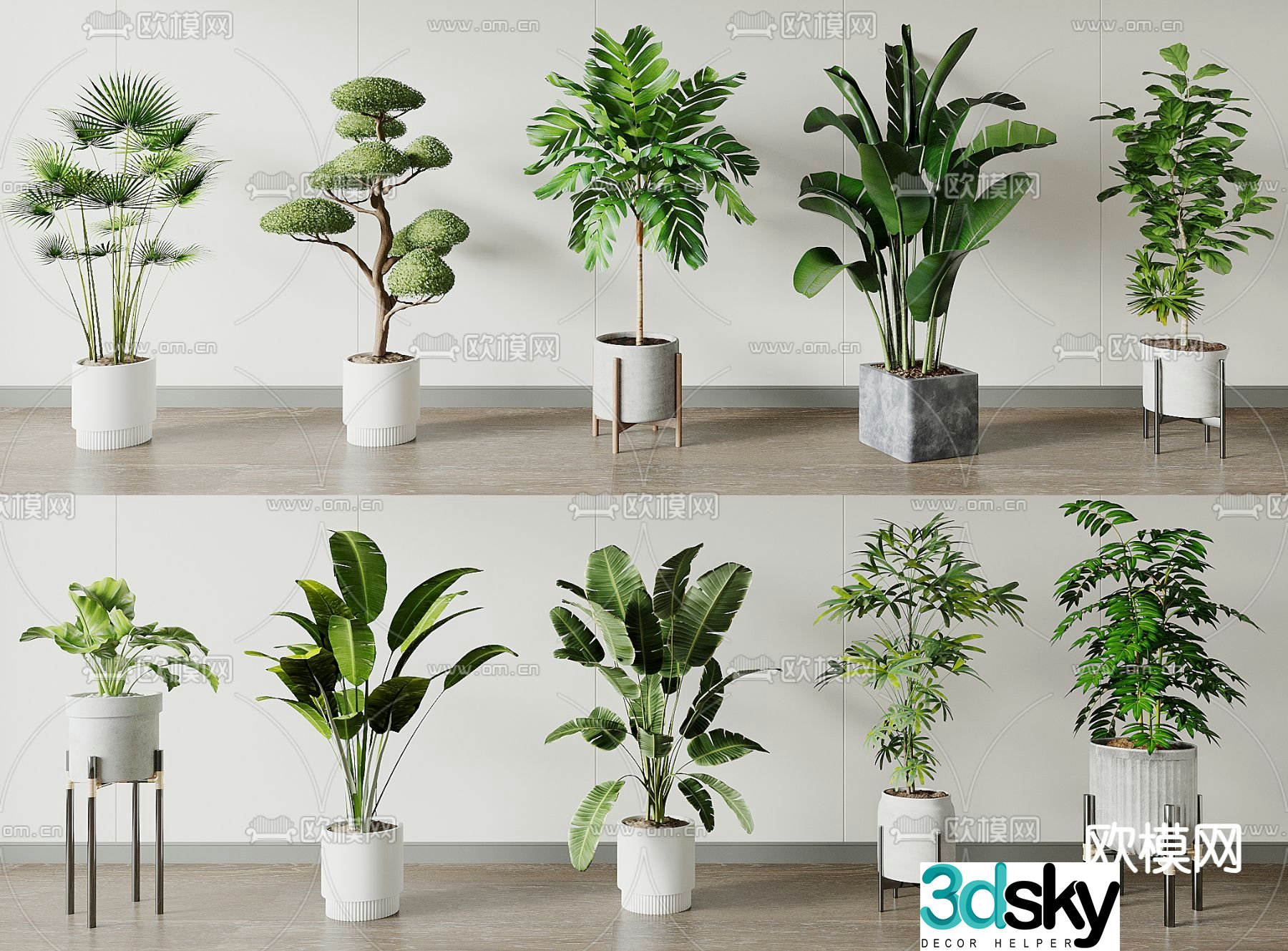 Potted plants Bonsai Green plants 3D model