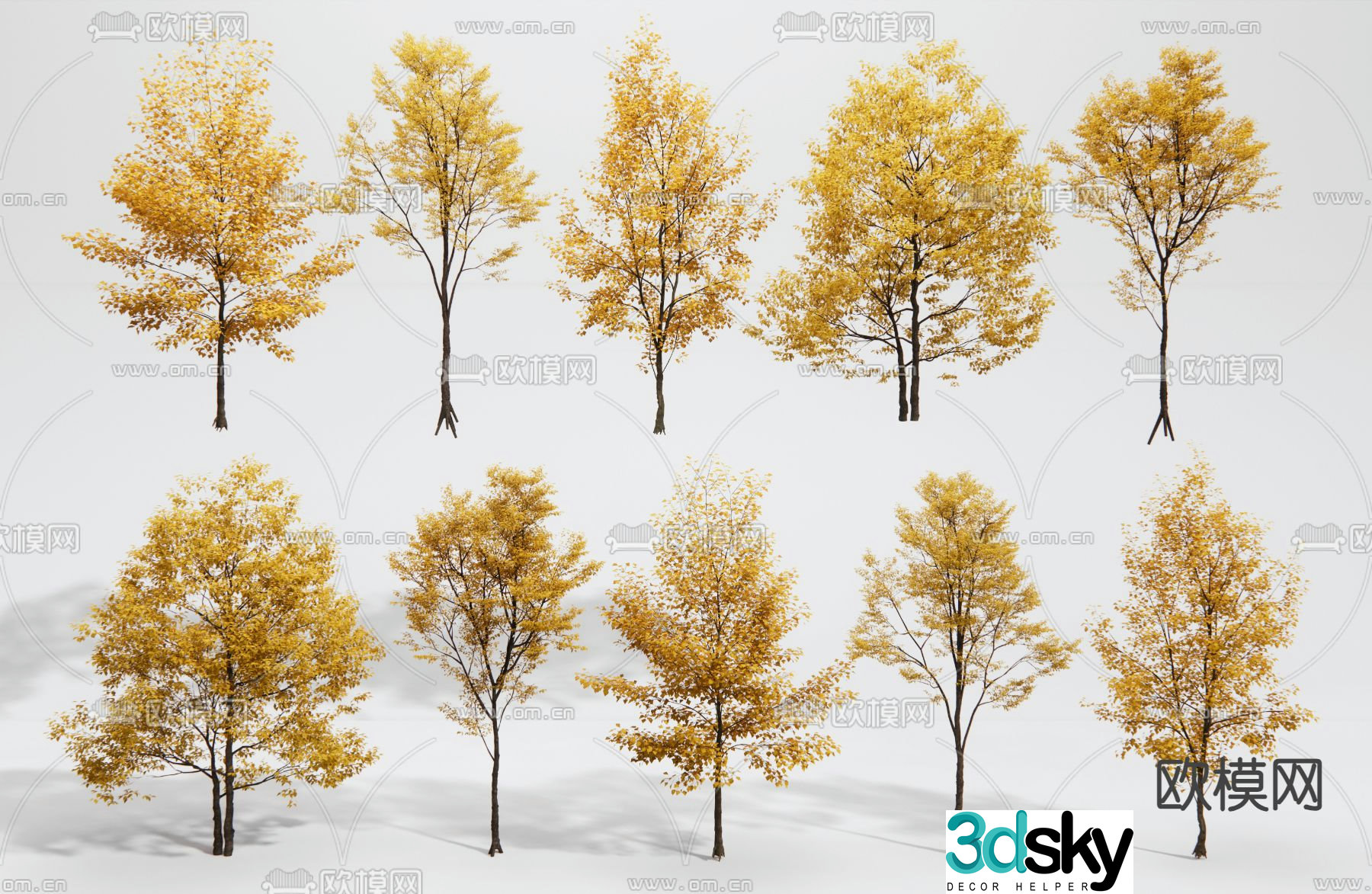 Ginkgo tree landscape tree street tree yellow leaf landscaping tree arbor 3d model
