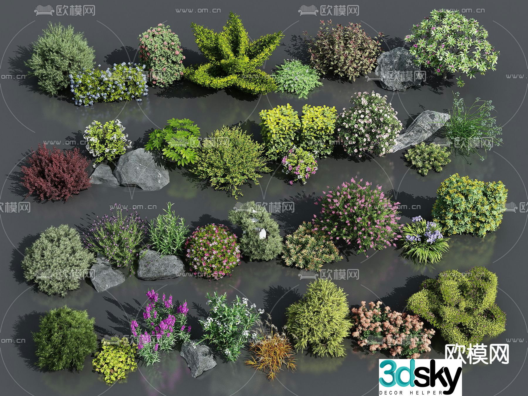 Flowers flowers shrubs plants 3d model