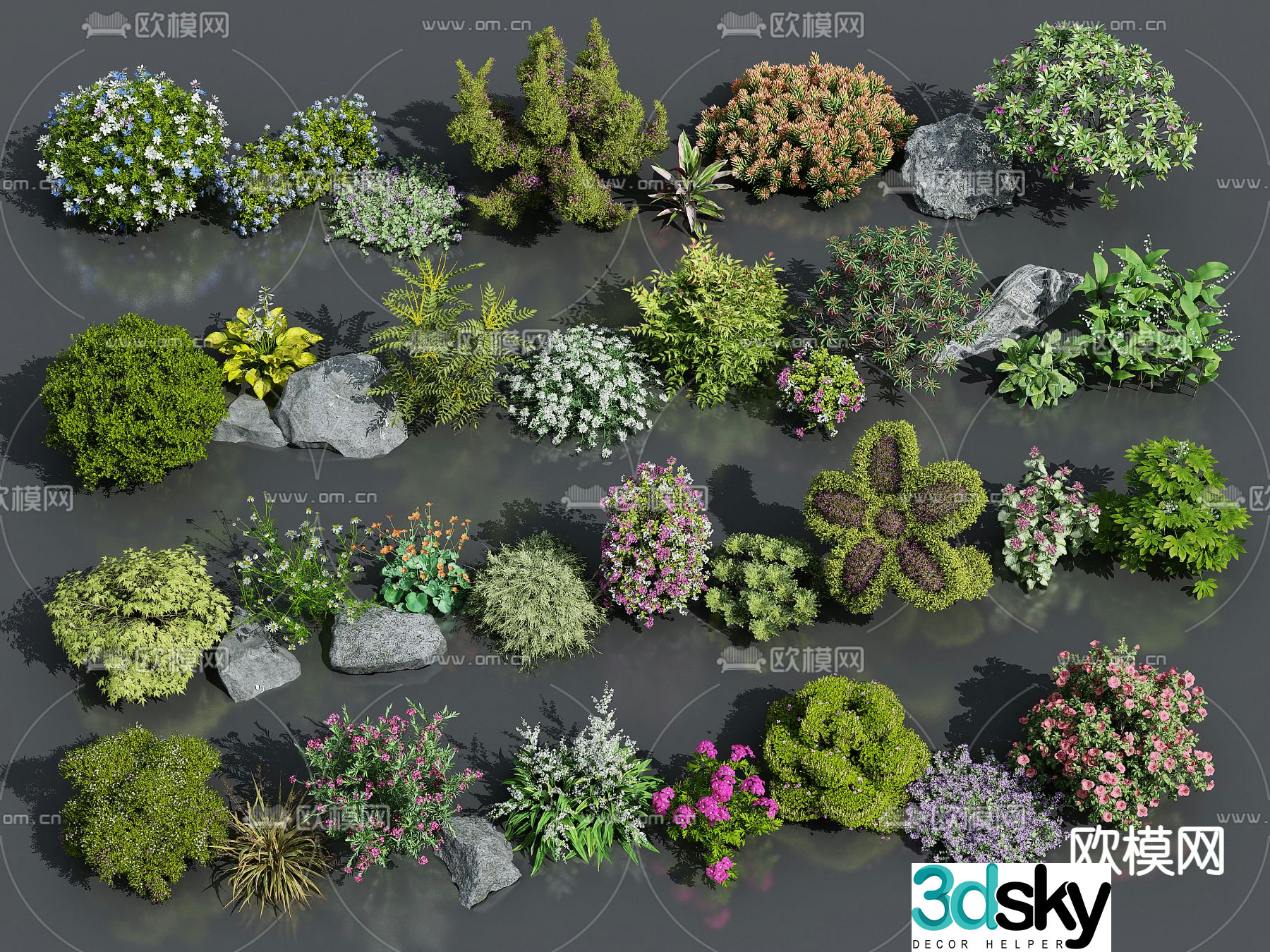 Flowers and plants Flowers and shrubs Plants 3d model