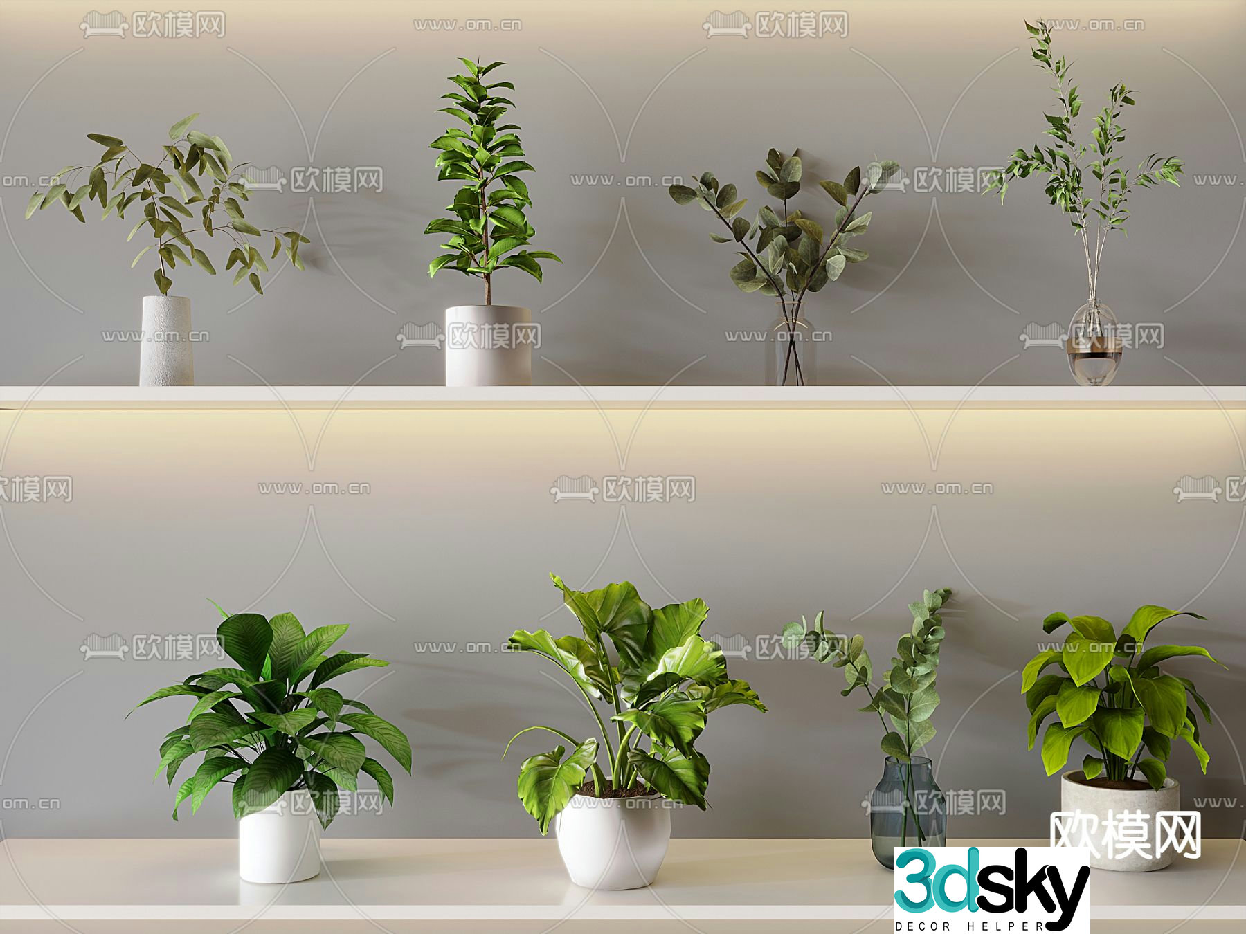 Potted plants Bonsai Aquatic plants 3D model