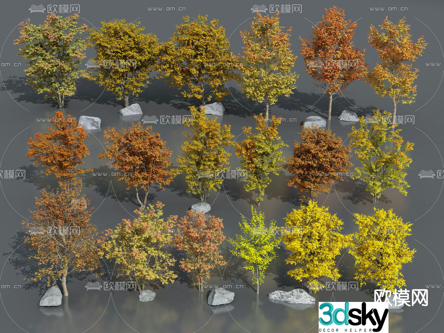 Tree Ginkgo Autumn Landscape Tree 3D Model