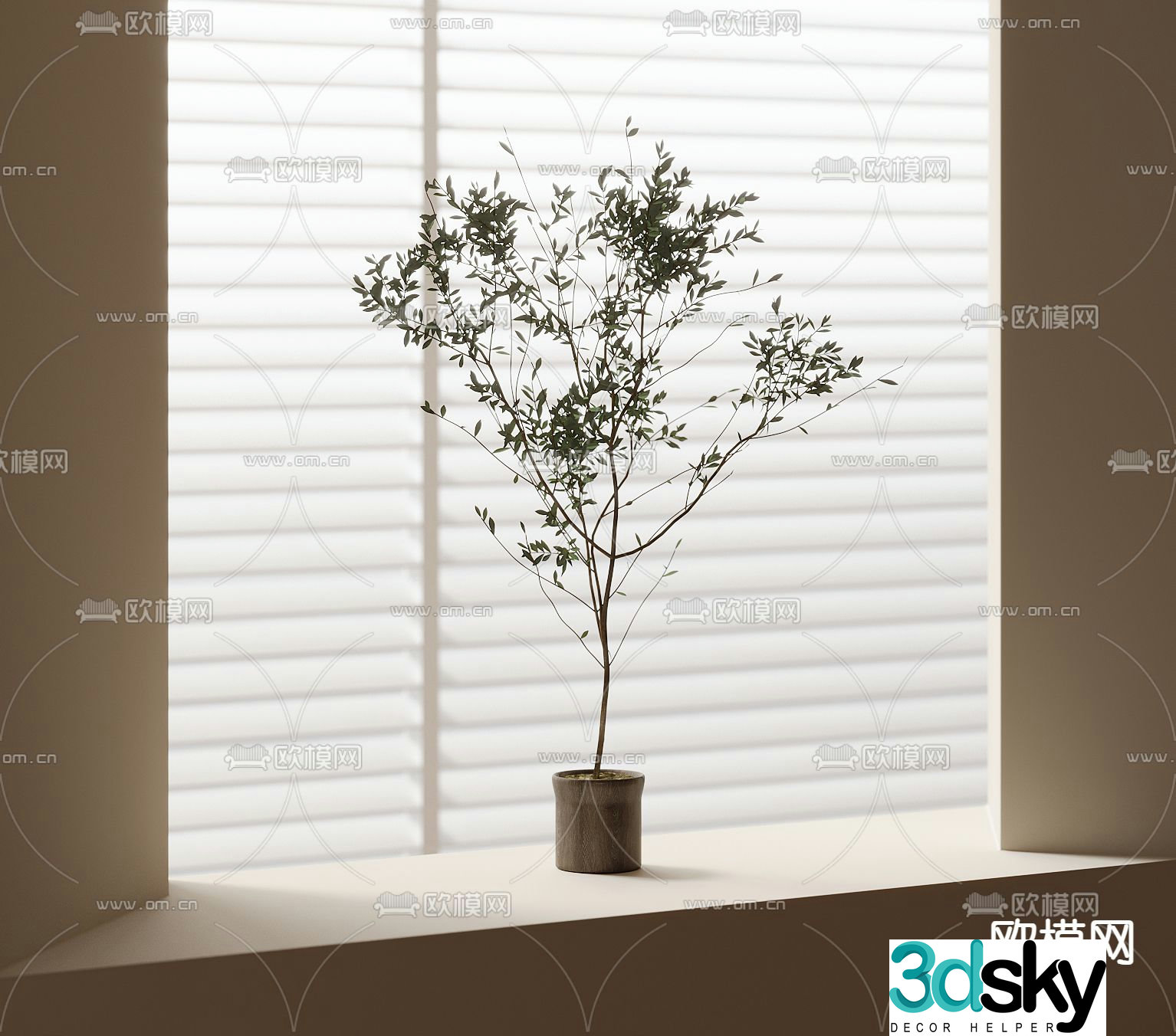 Green plants bonsai potted plants 3D model