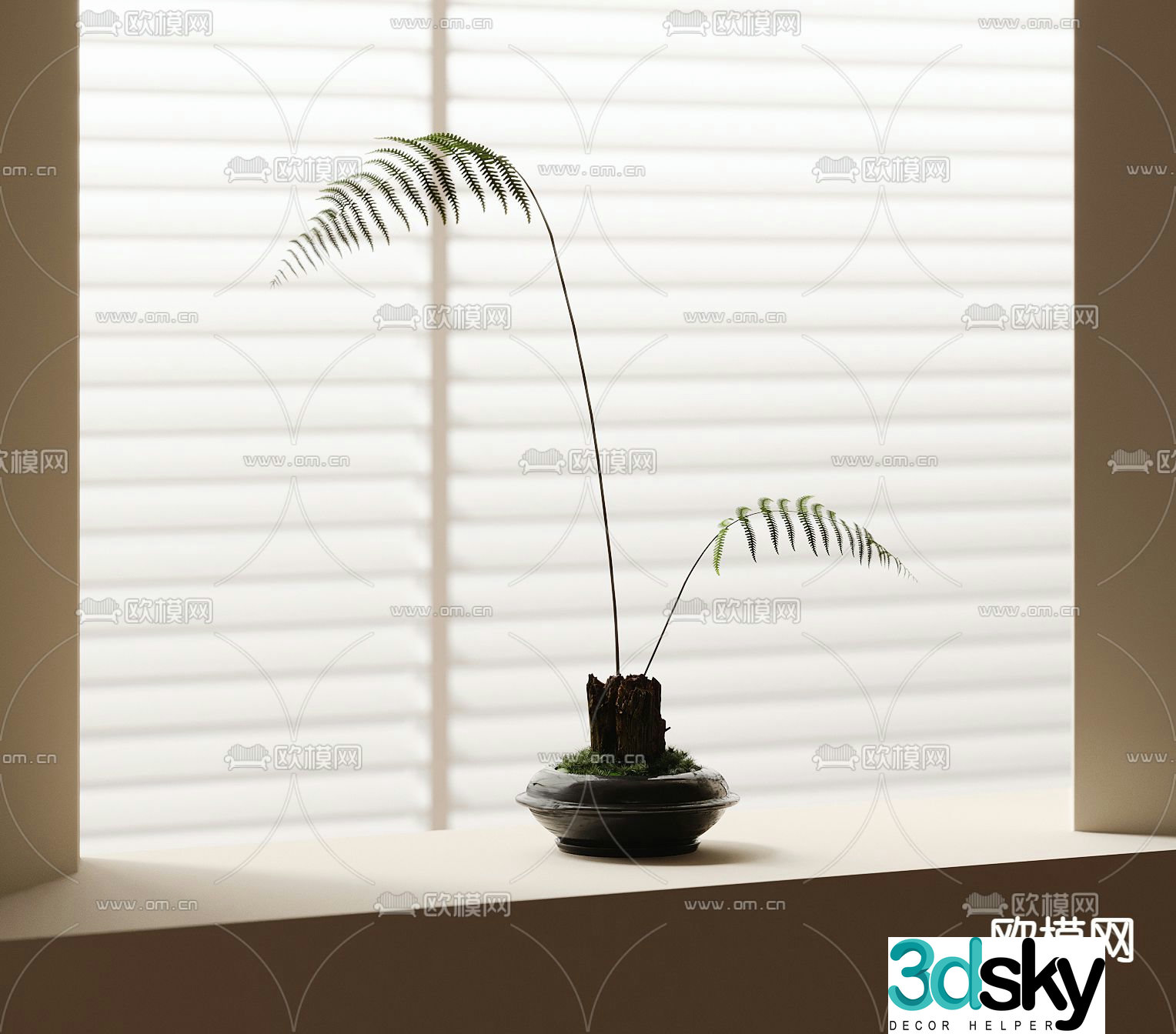 Fern potted bonsai 3d model