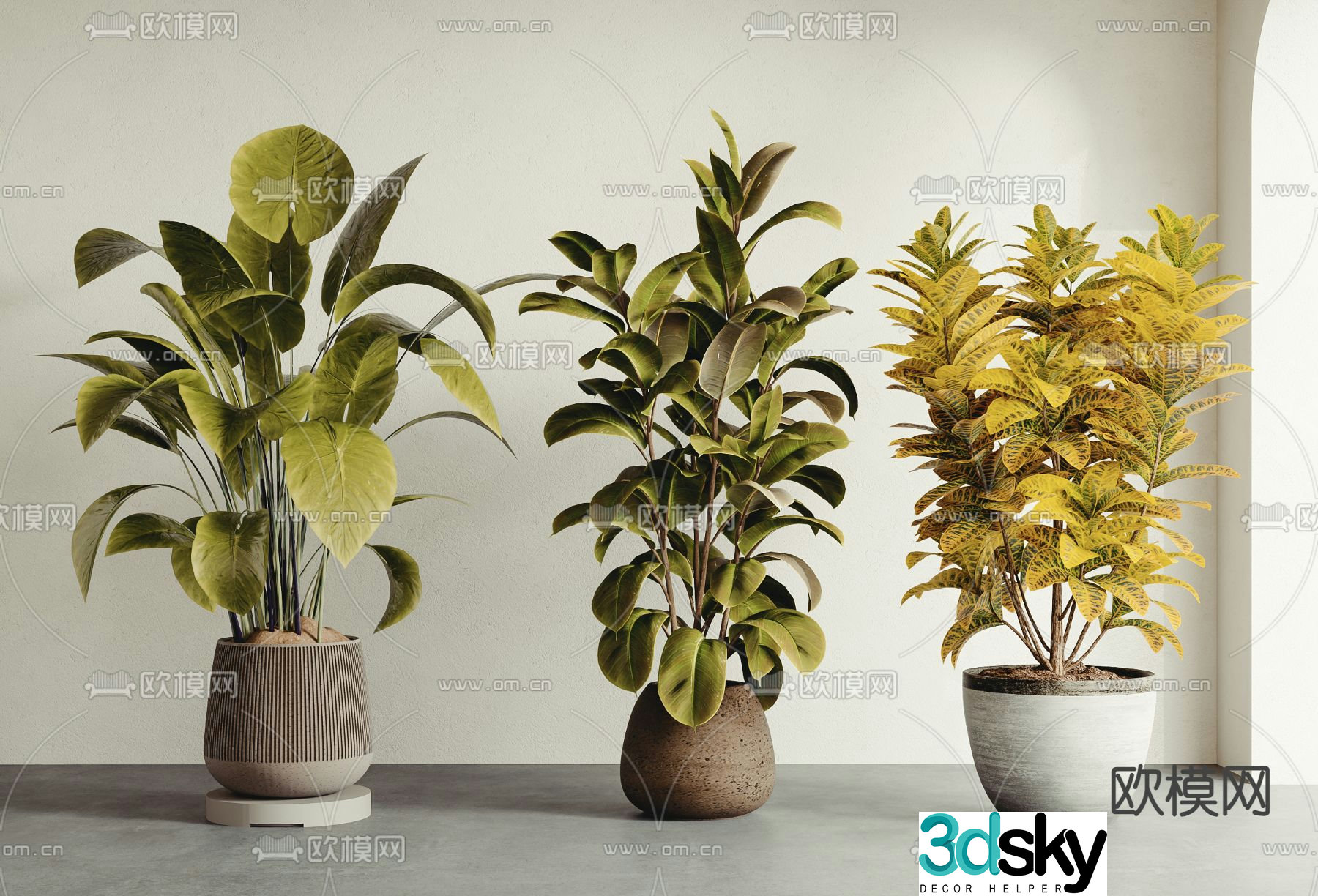 Potted plants Bonsai Green plants 3D model