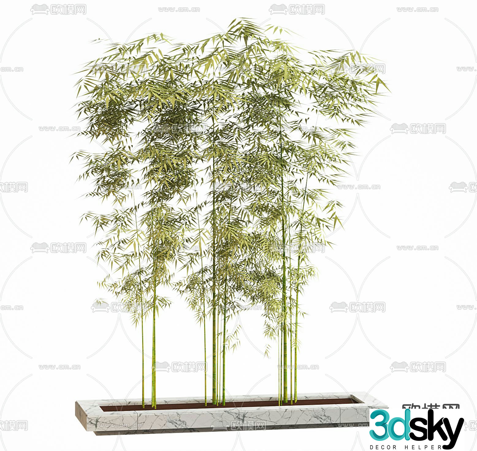 Bamboo potted 3d model