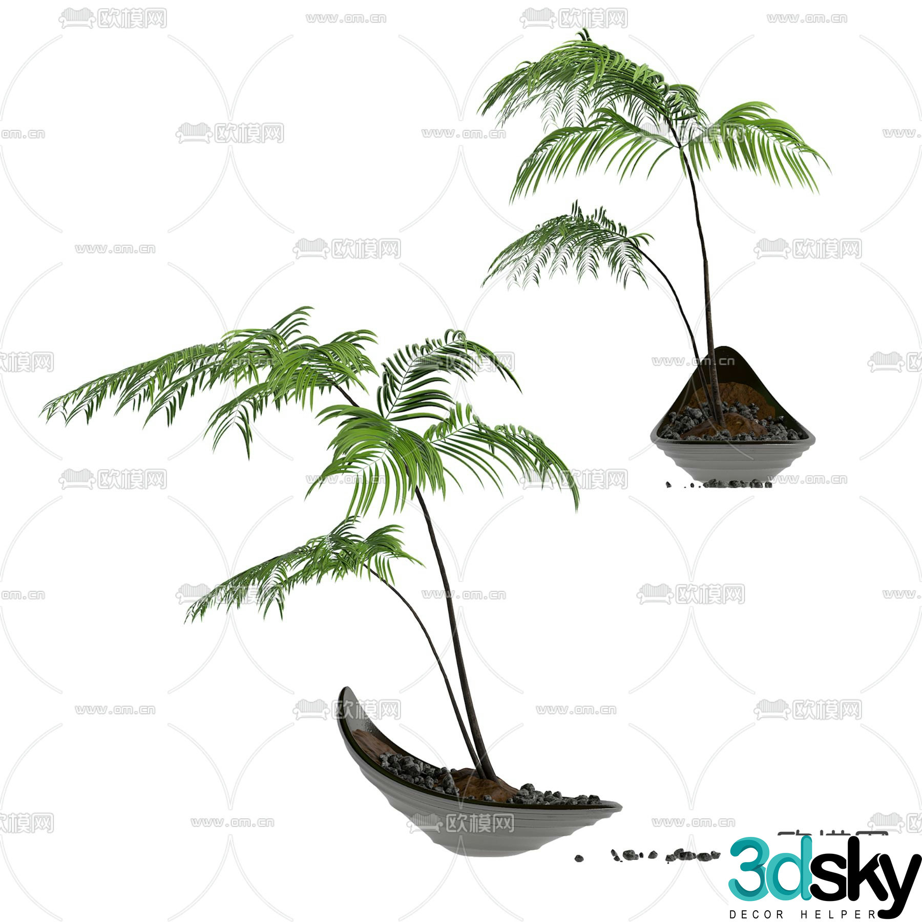 fern potted bonsai 3d model
