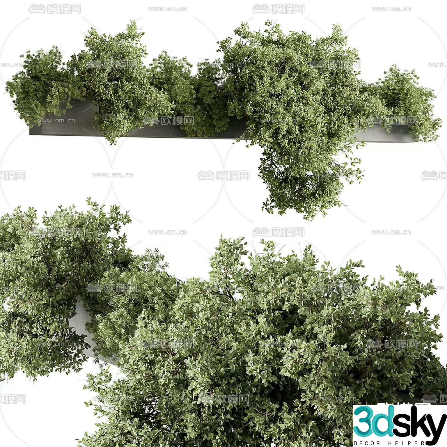 Flower bed flower box tree pond 3d model