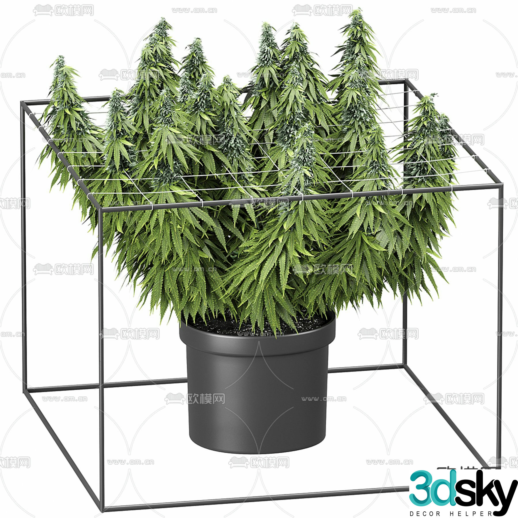 Flower bag green plants potted plants 3D model