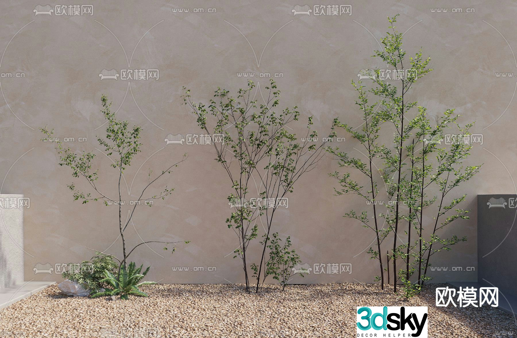 Trees Landscape Trees Garden Trees Saplings 3d Model