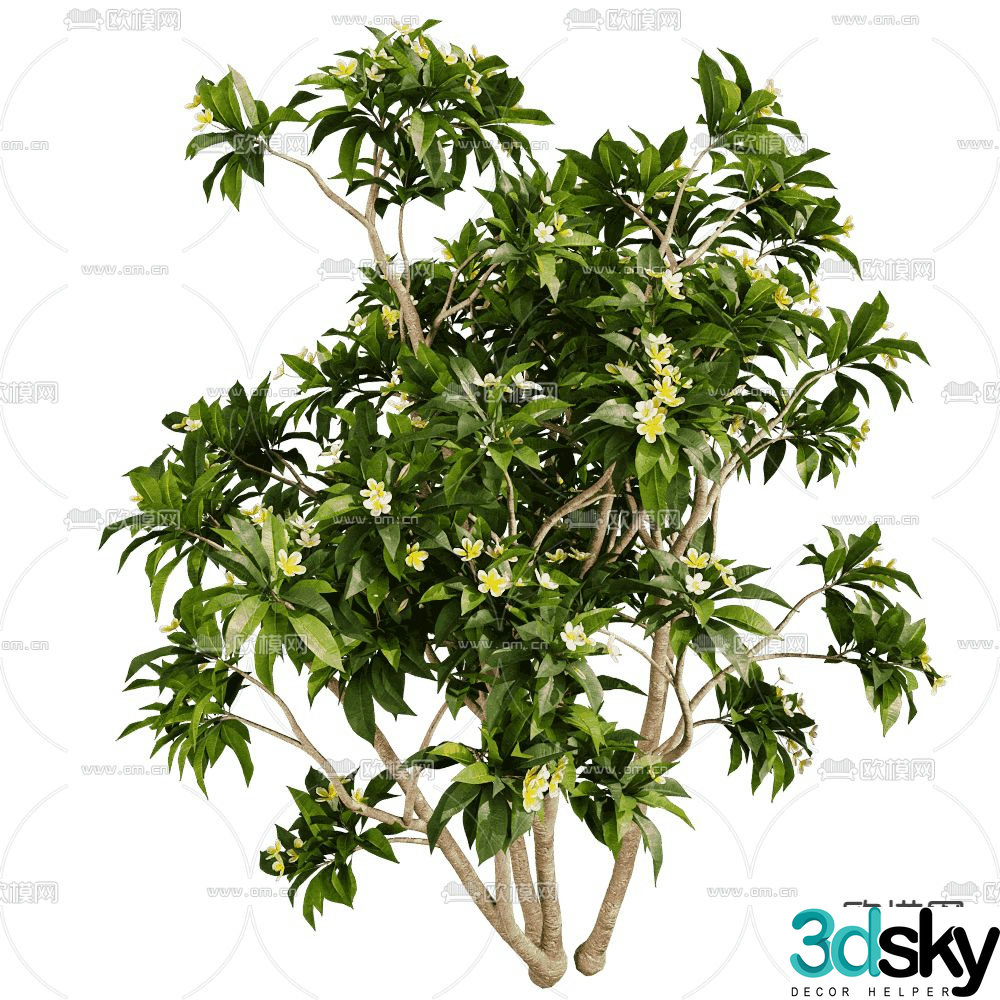 Landscape tree Flower tree Shrub 3d model