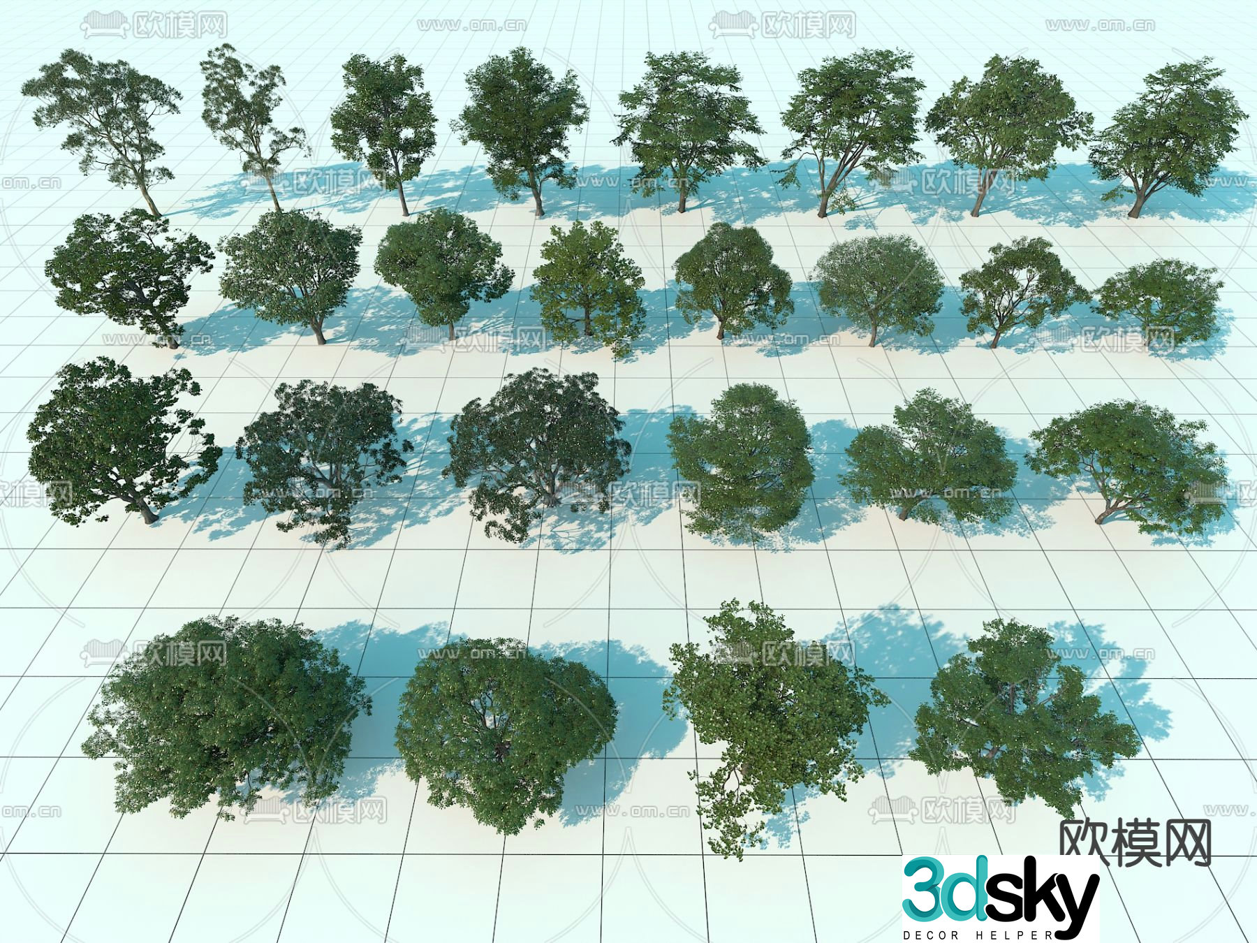 Landscape trees street trees trees arbor 3d model