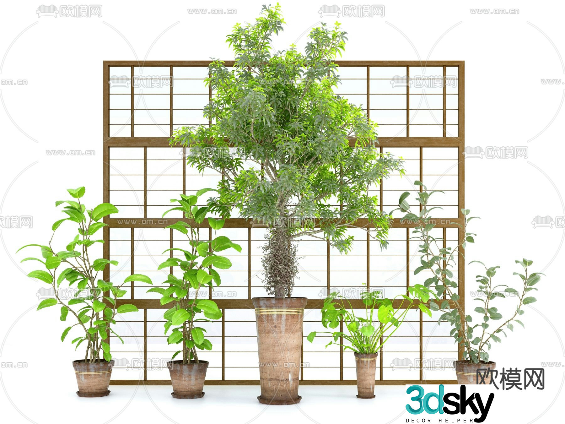 Potted plants Bonsai Green plants 3D model