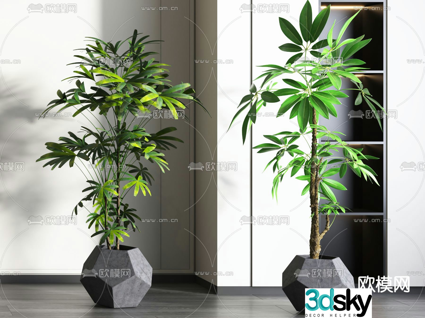 potted bonsai green plant 3d model