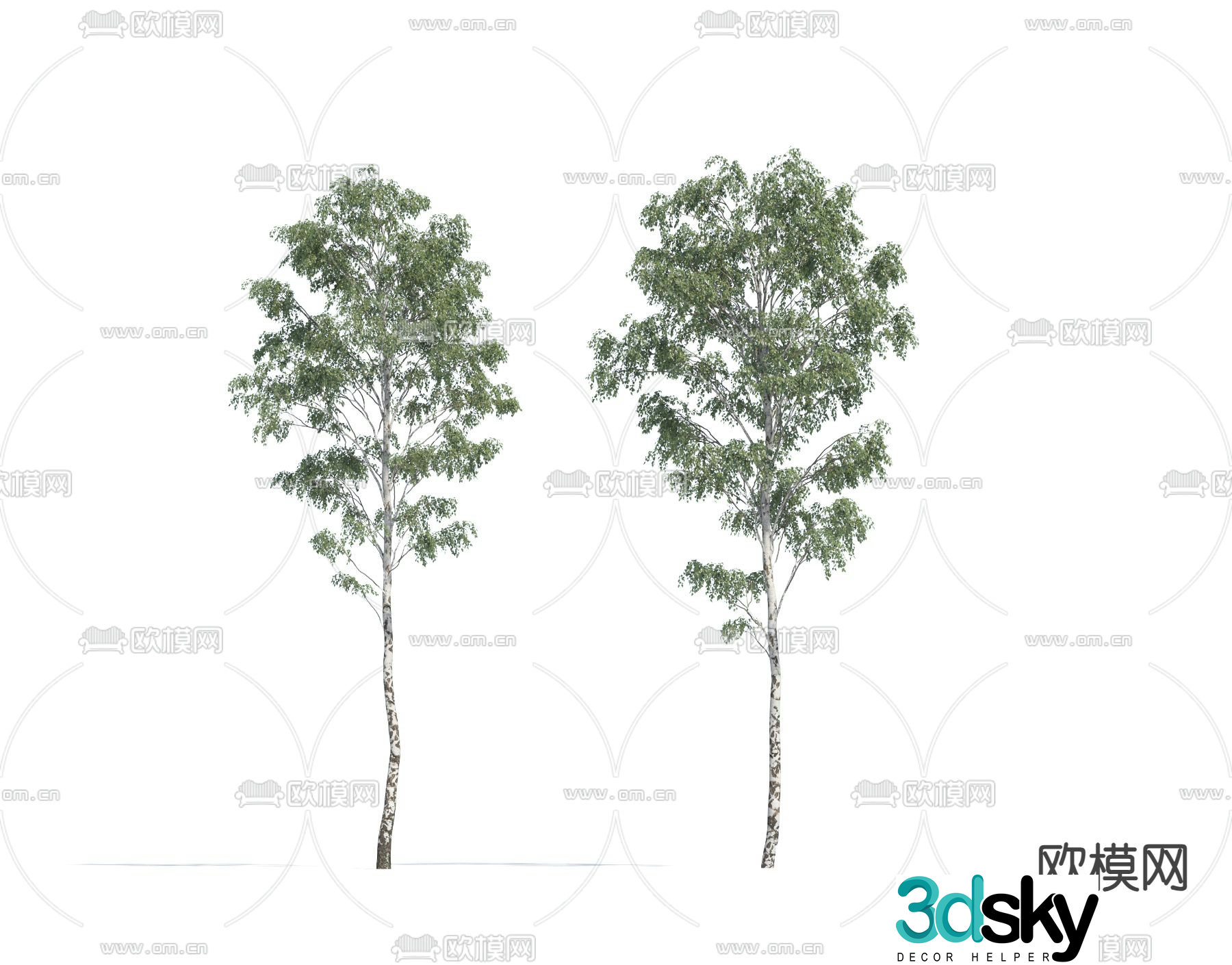 Landscape tree birch tree 3d model