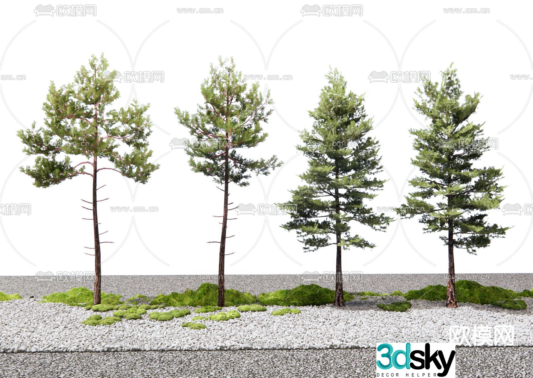 Pine Tree Landscape Tree Cedar 3D Model