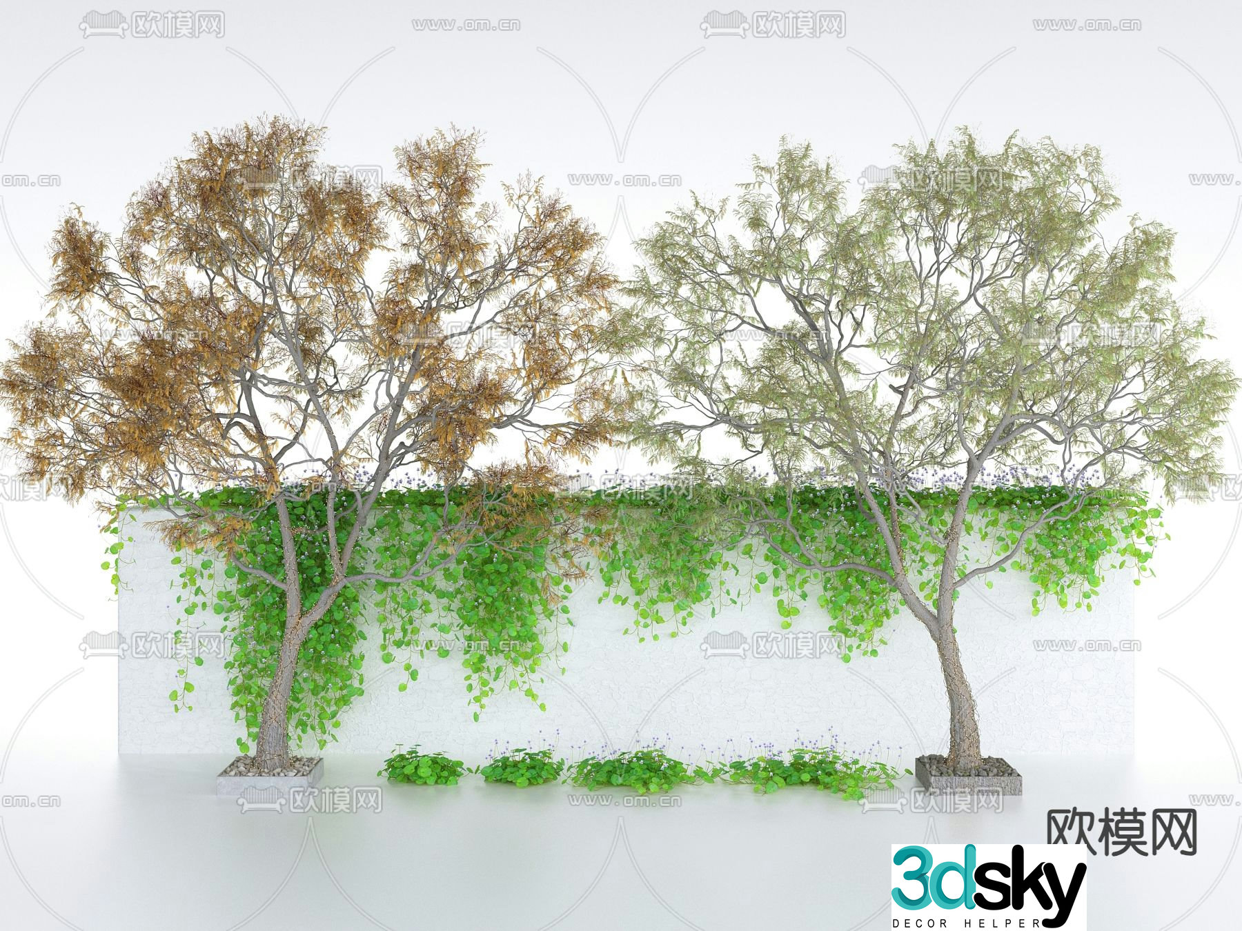 vine climbing ivy landscape tree wall 3d model