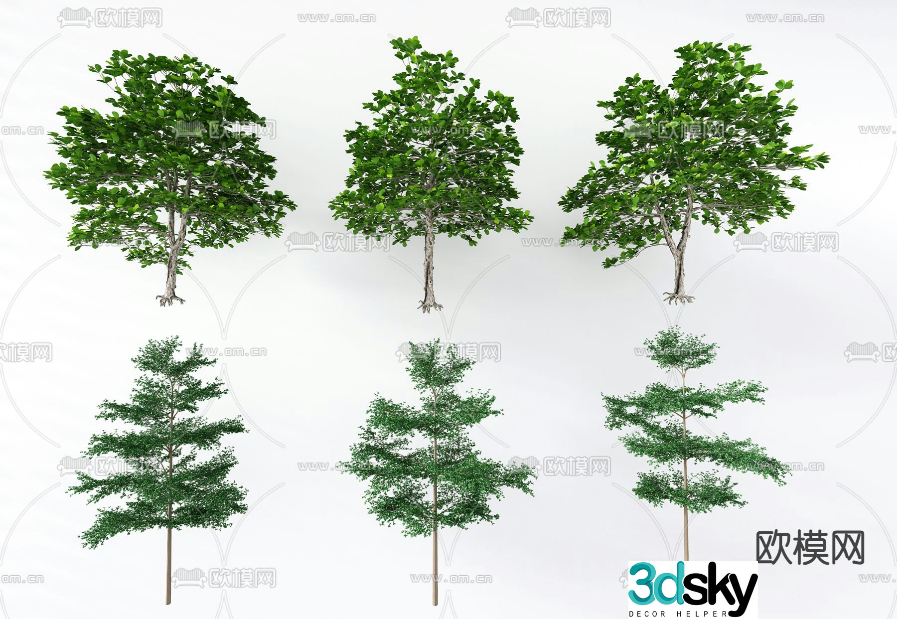 Landscape tree Tree lanren tree 3d model