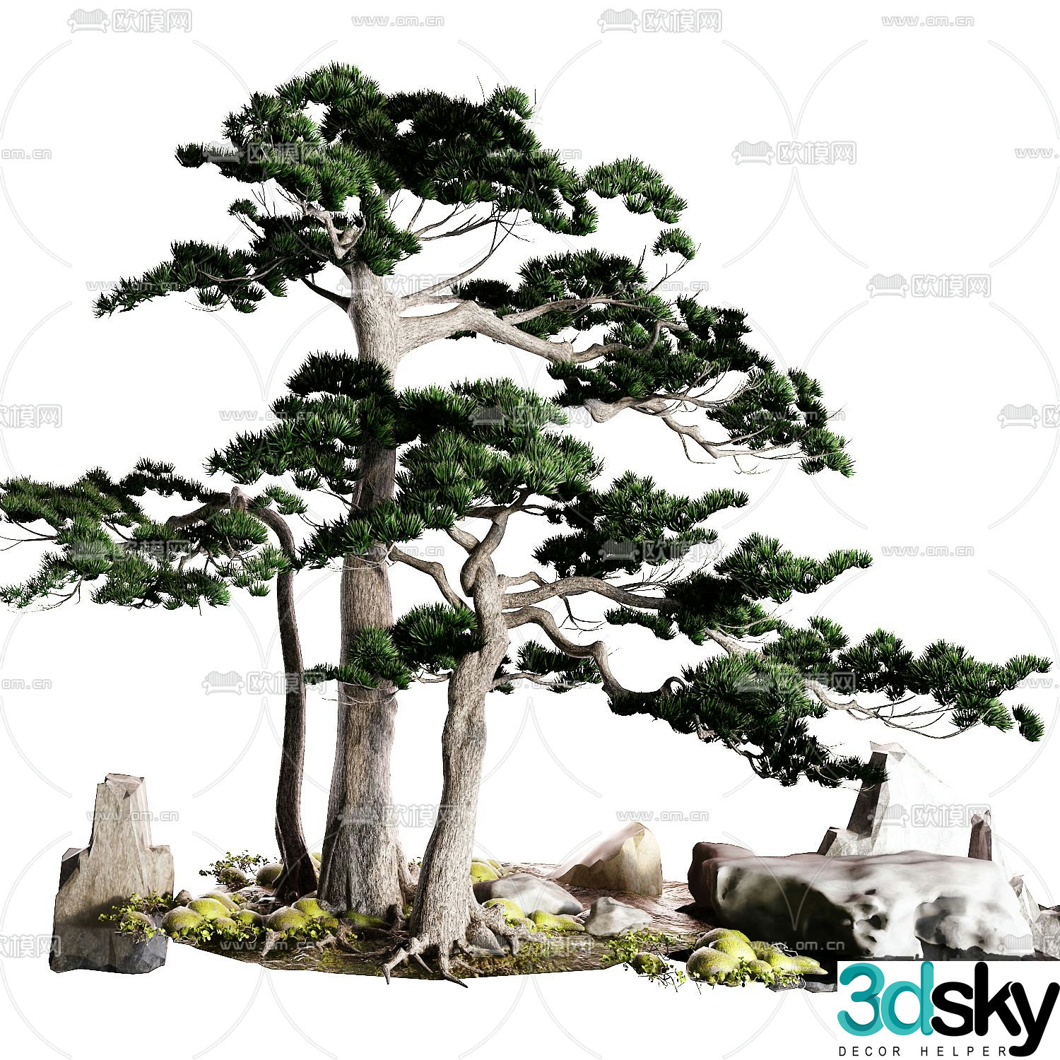 New Chinese style pine tree welcome pine 3d model