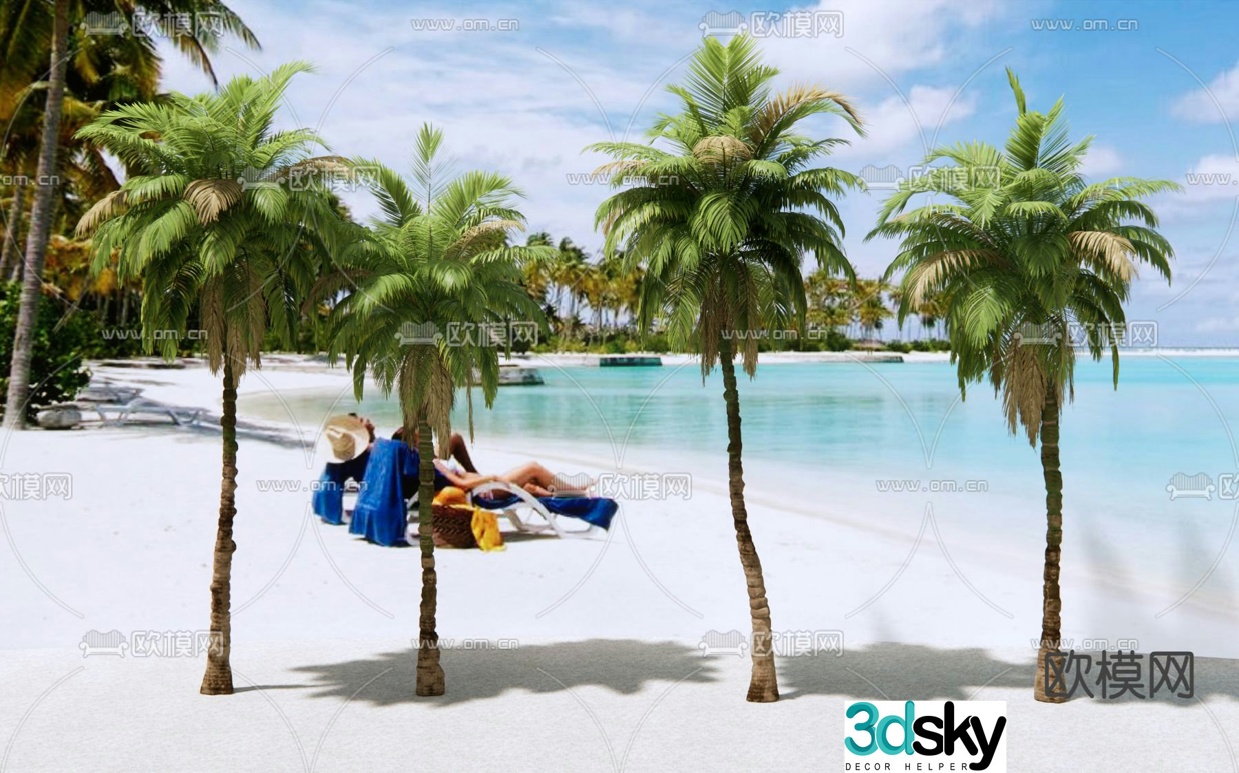tropical tree coconut tree palm tree beach 3d model