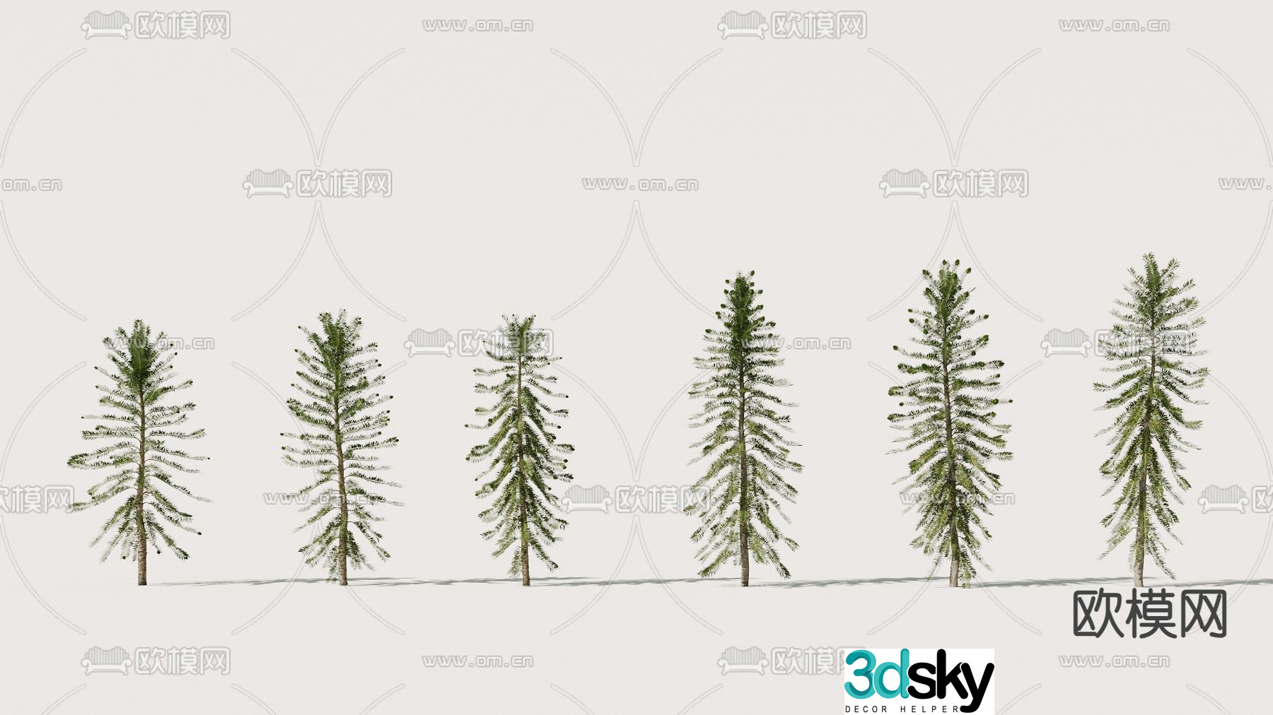 Landscape tree Big leaf Araucaria tree Fir tree 3D model